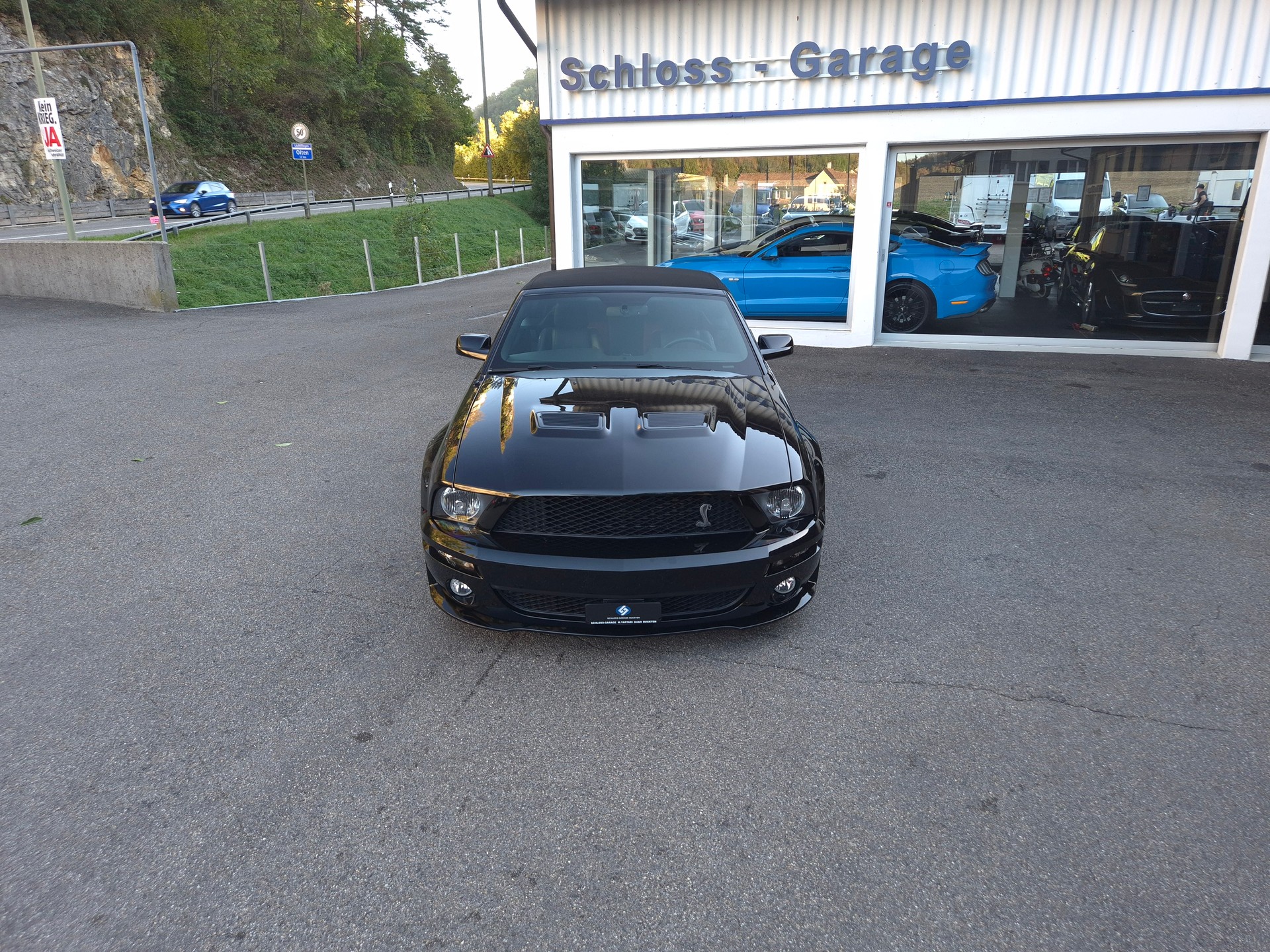 FORD Mustang Shelby GT500 SVT-showroom-element-3