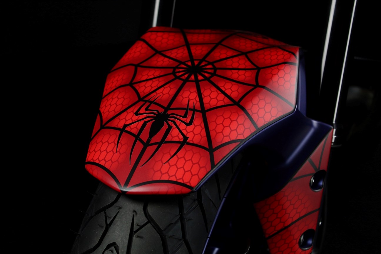 KAWASAKI Z 900 (92 KW) *Spiderman*-image-6