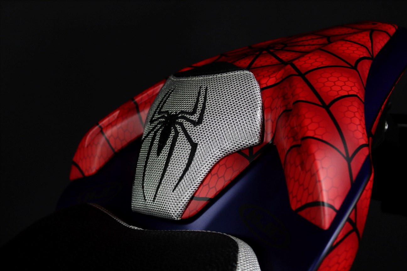 KAWASAKI Z 900 (92 KW) *Spiderman*-image-7