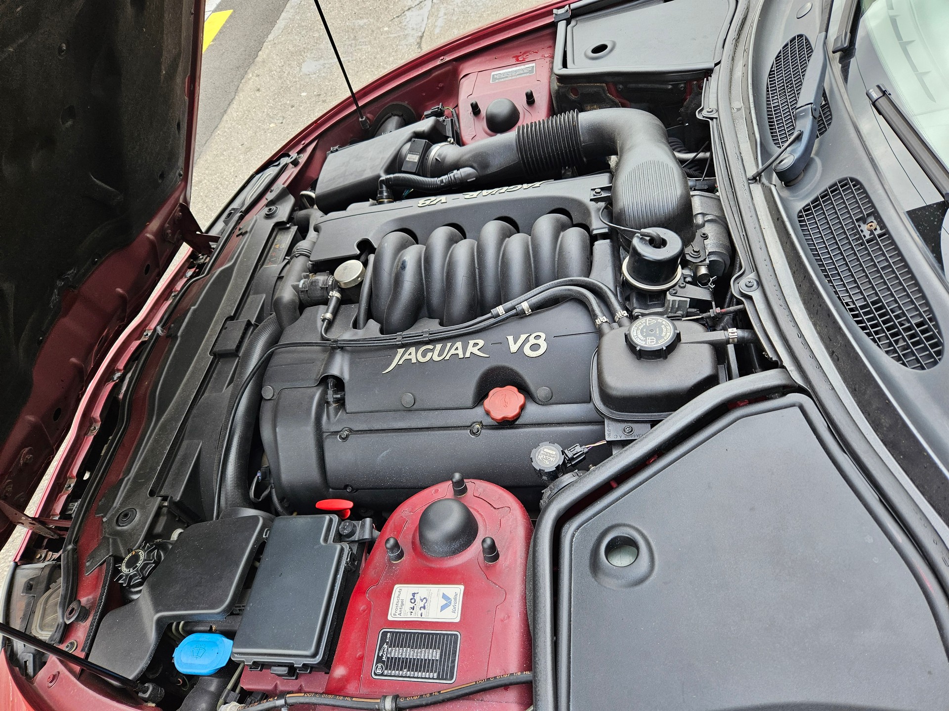 JAGUAR XK8-image-7