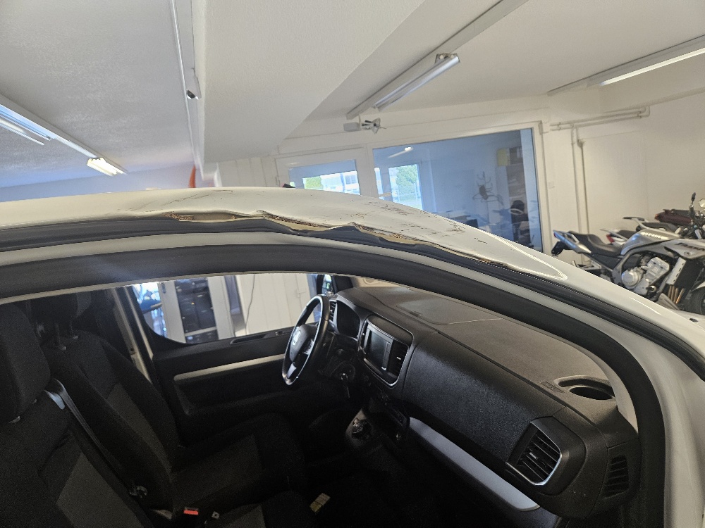 FIAT Scudo 2.0 MJ L2H1 Professional Business Swiss Worker AT-image-20
