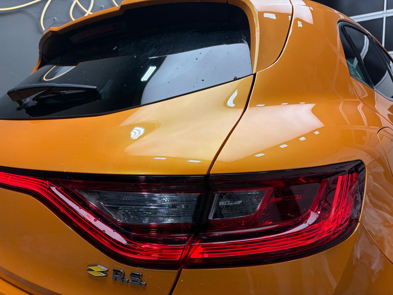 RENAULT Mégane Trophy 300-image-4