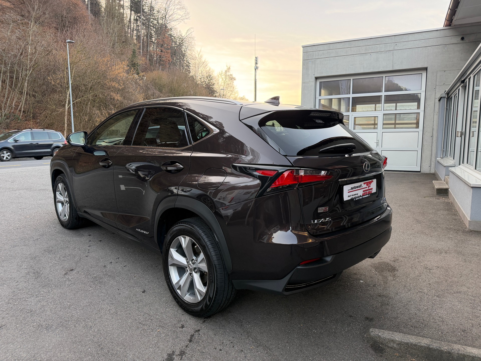 LEXUS NX 300h excellence E-Four Automatic-image-2