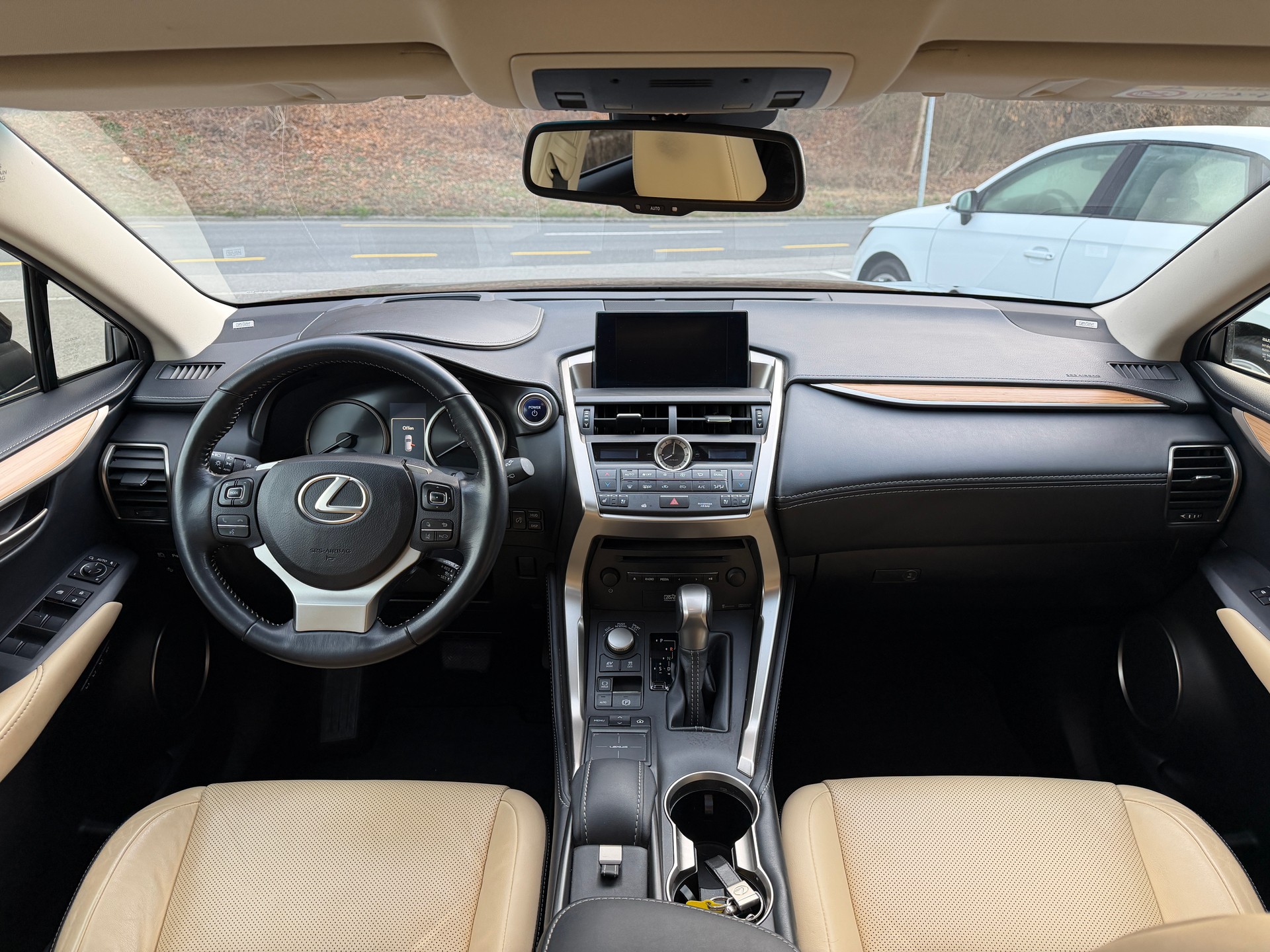 LEXUS NX 300h excellence E-Four Automatic-image-9
