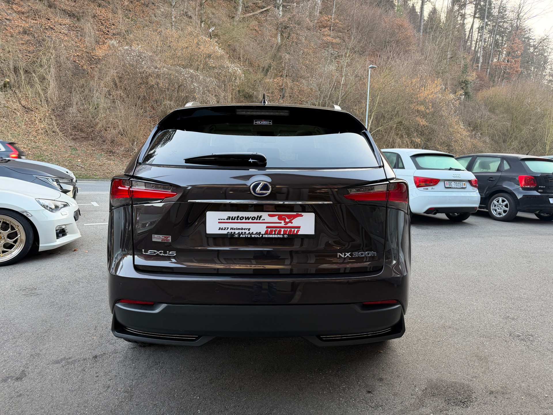 LEXUS NX 300h excellence E-Four Automatic-image-3