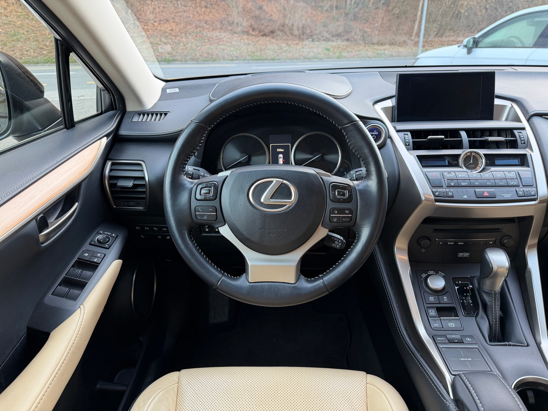 LEXUS NX 300h excellence E-Four Automatic-image-10