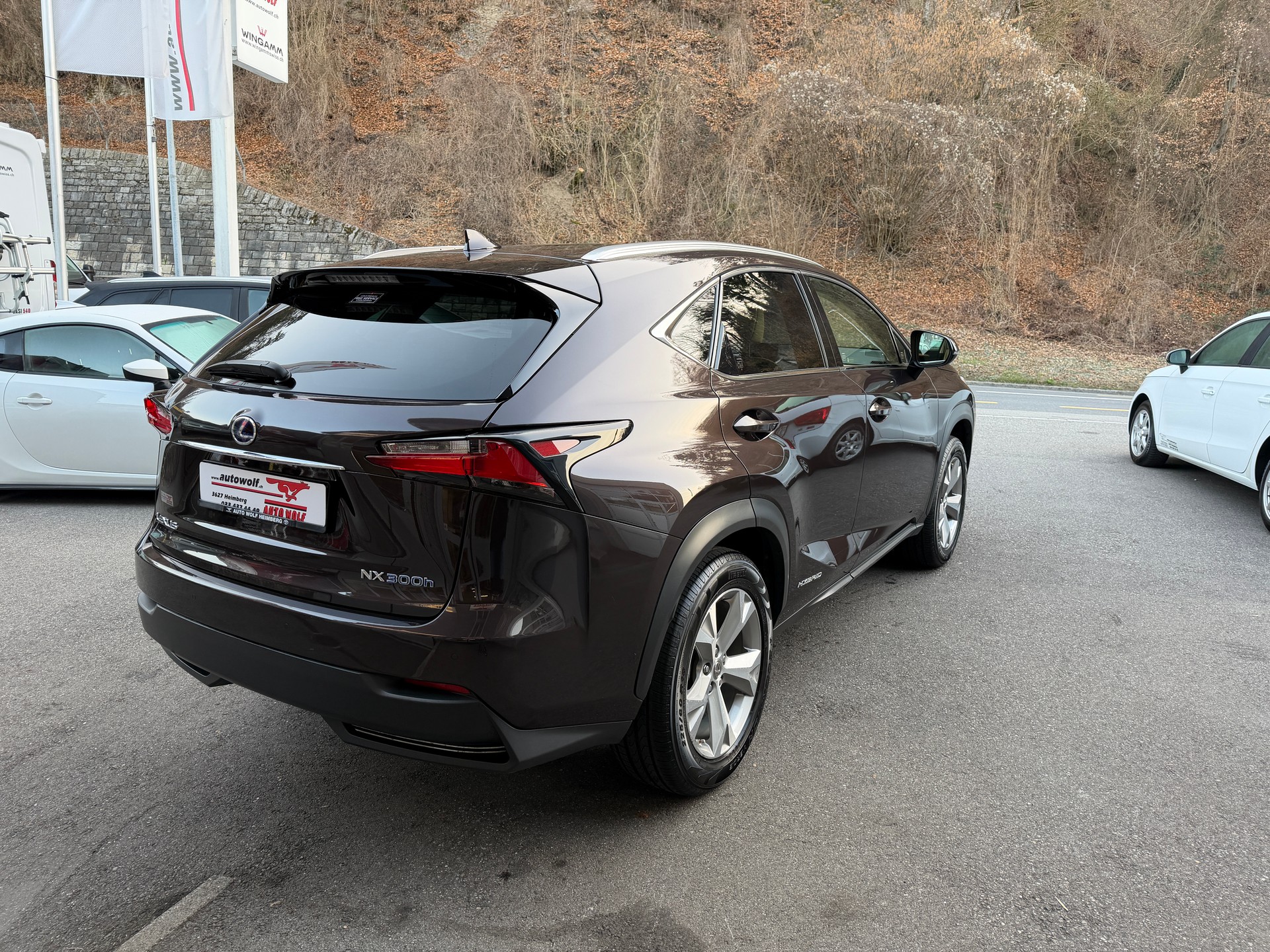 LEXUS NX 300h excellence E-Four Automatic-image-4