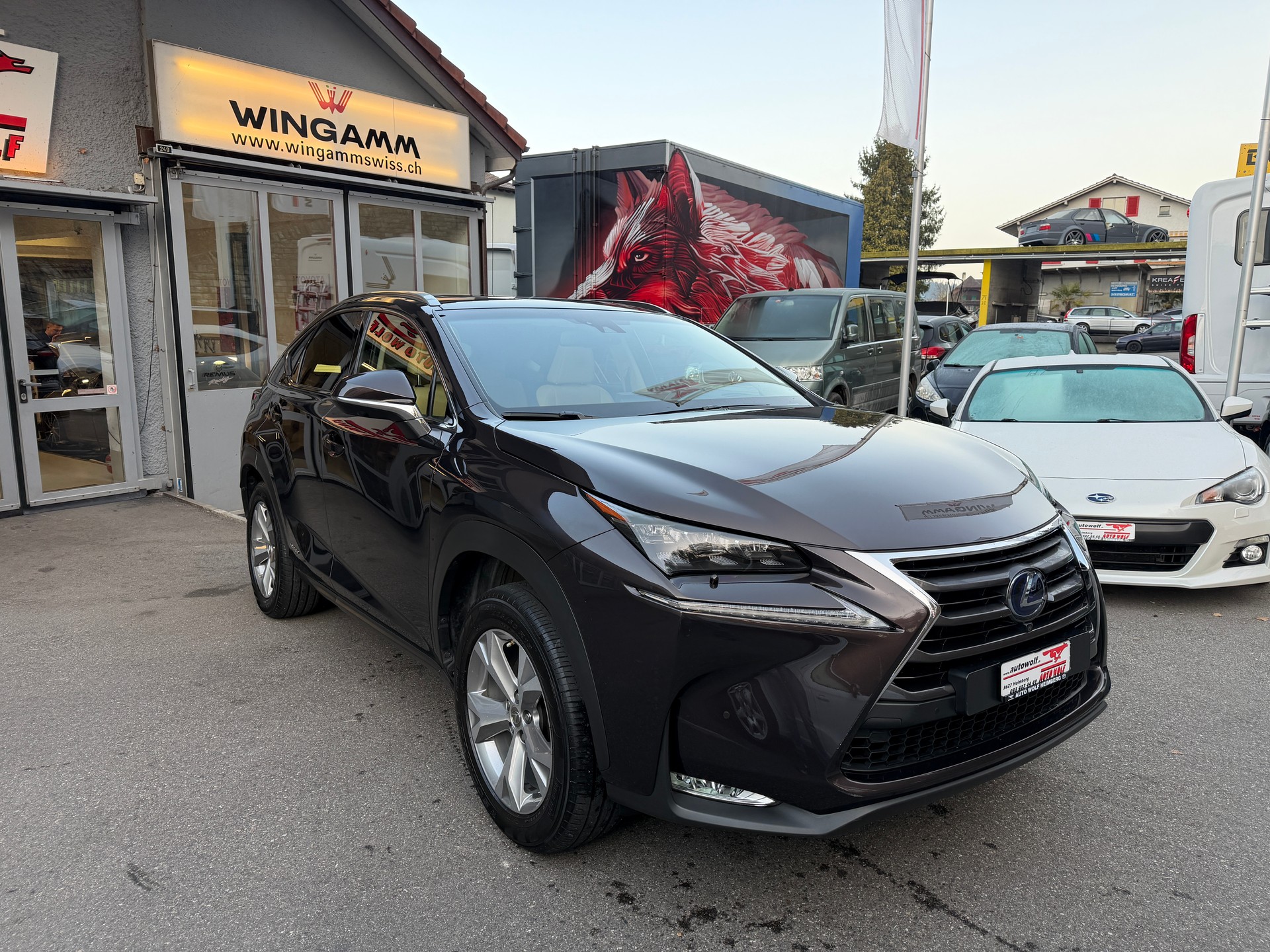 LEXUS NX 300h excellence E-Four Automatic-image-6