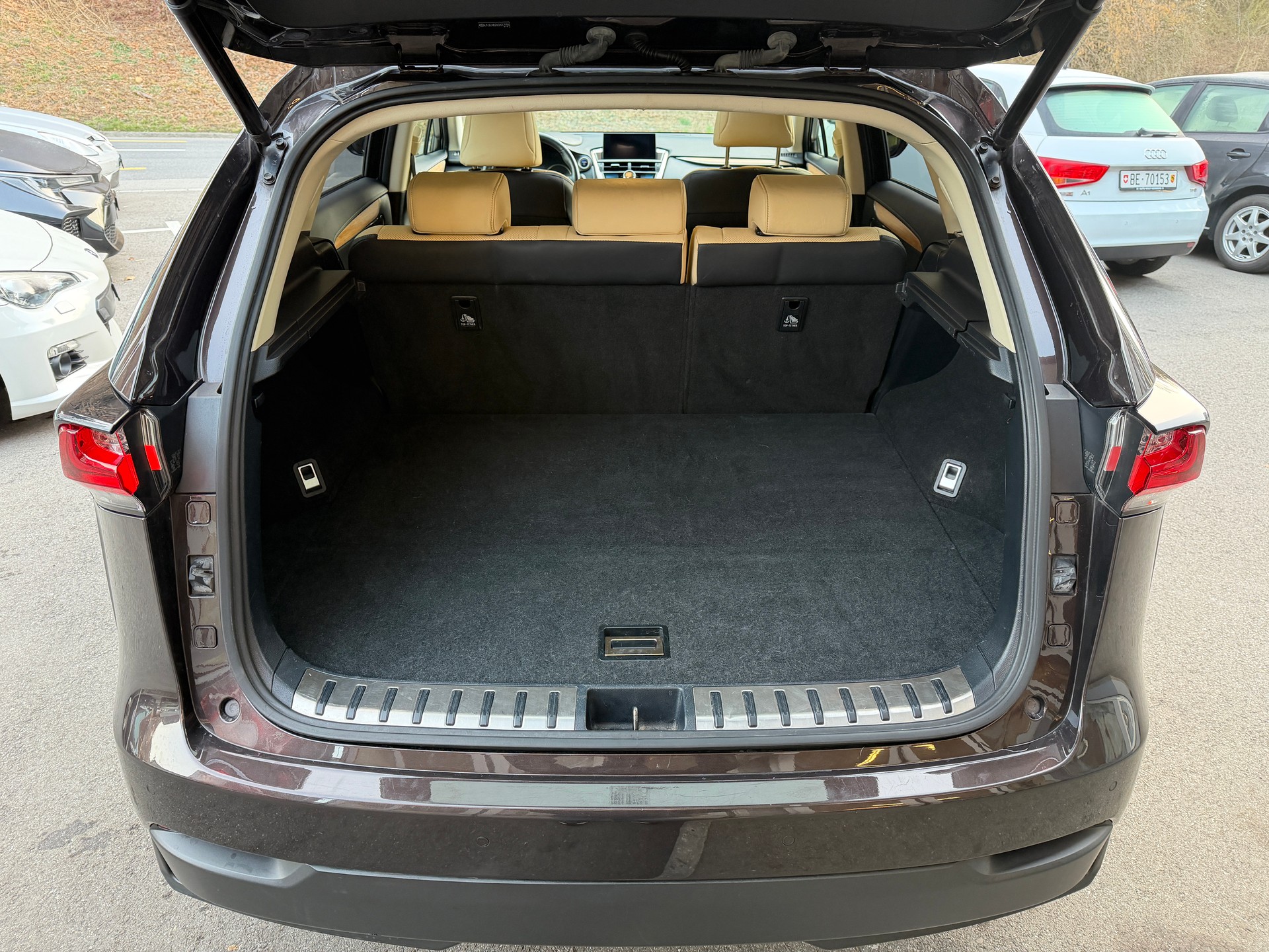 LEXUS NX 300h excellence E-Four Automatic-image-12