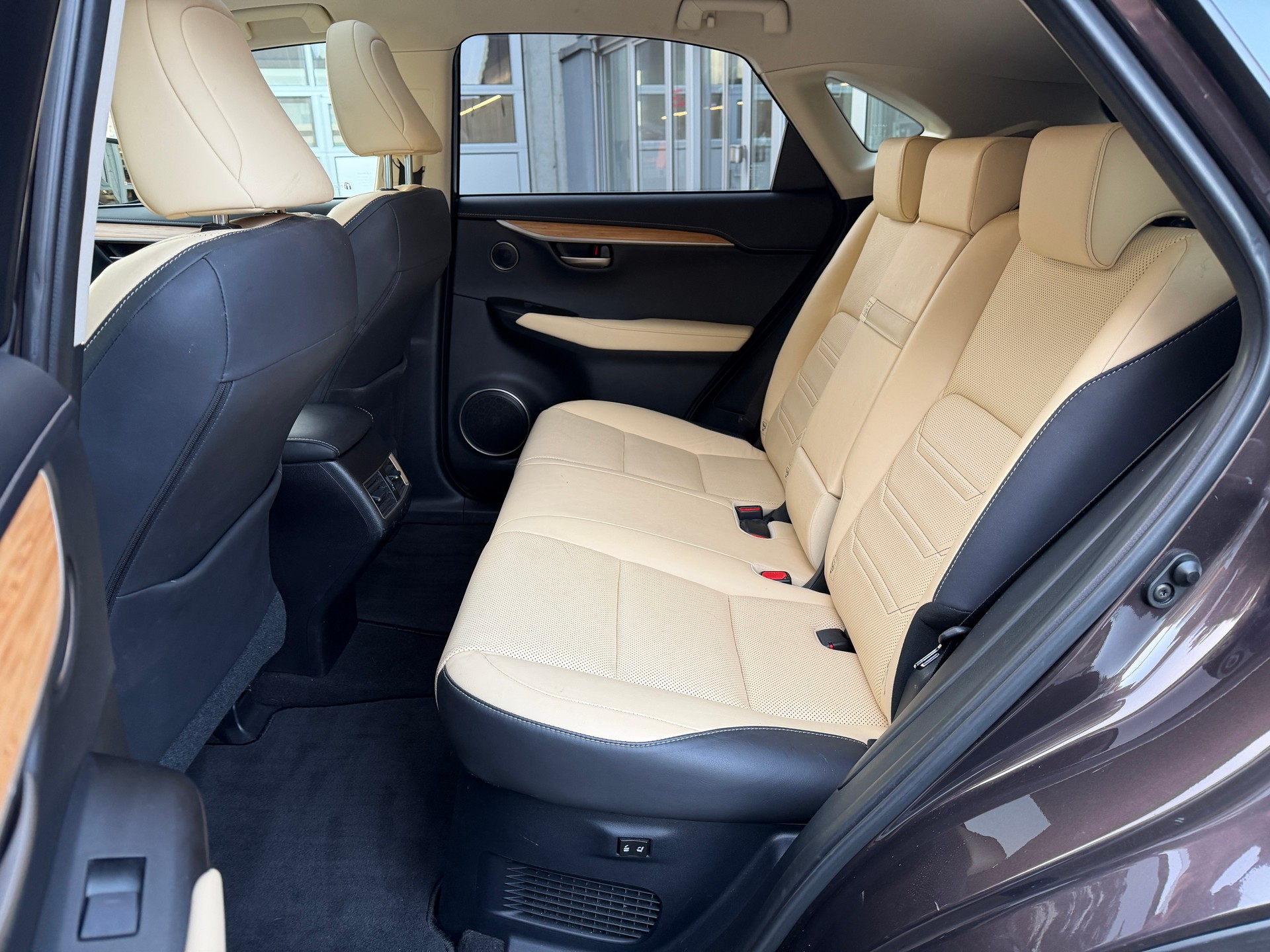 LEXUS NX 300h excellence E-Four Automatic-image-11