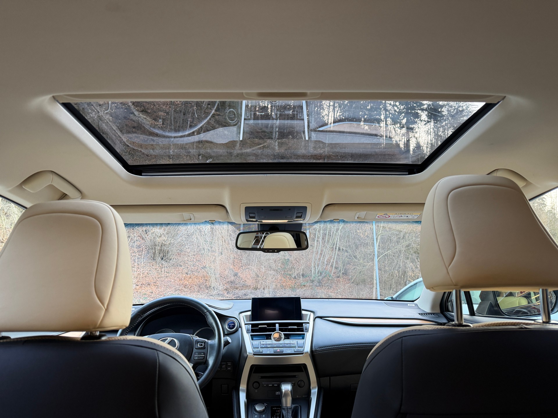 LEXUS NX 300h excellence E-Four Automatic-image-13