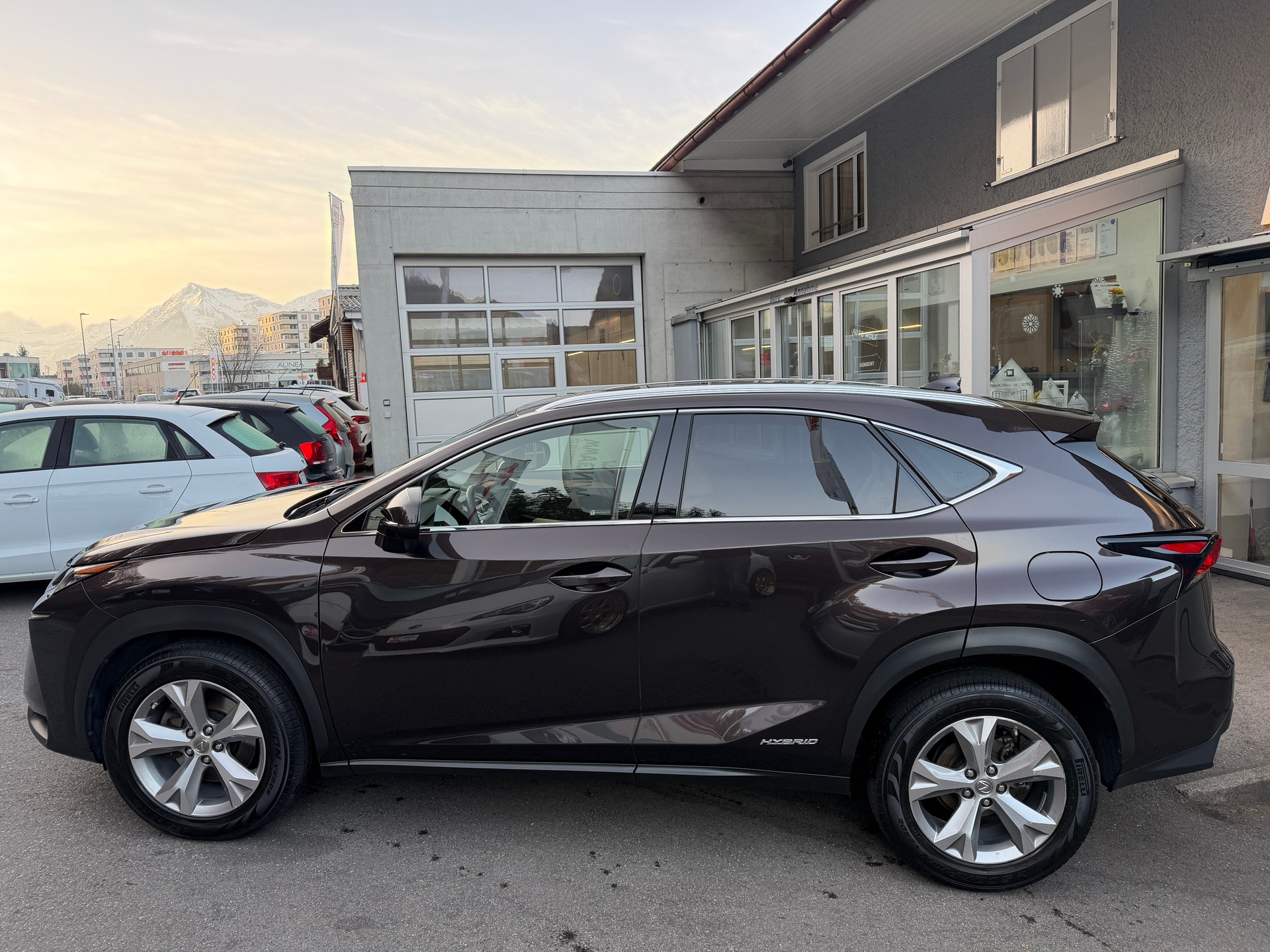 LEXUS NX 300h excellence E-Four Automatic-image-1