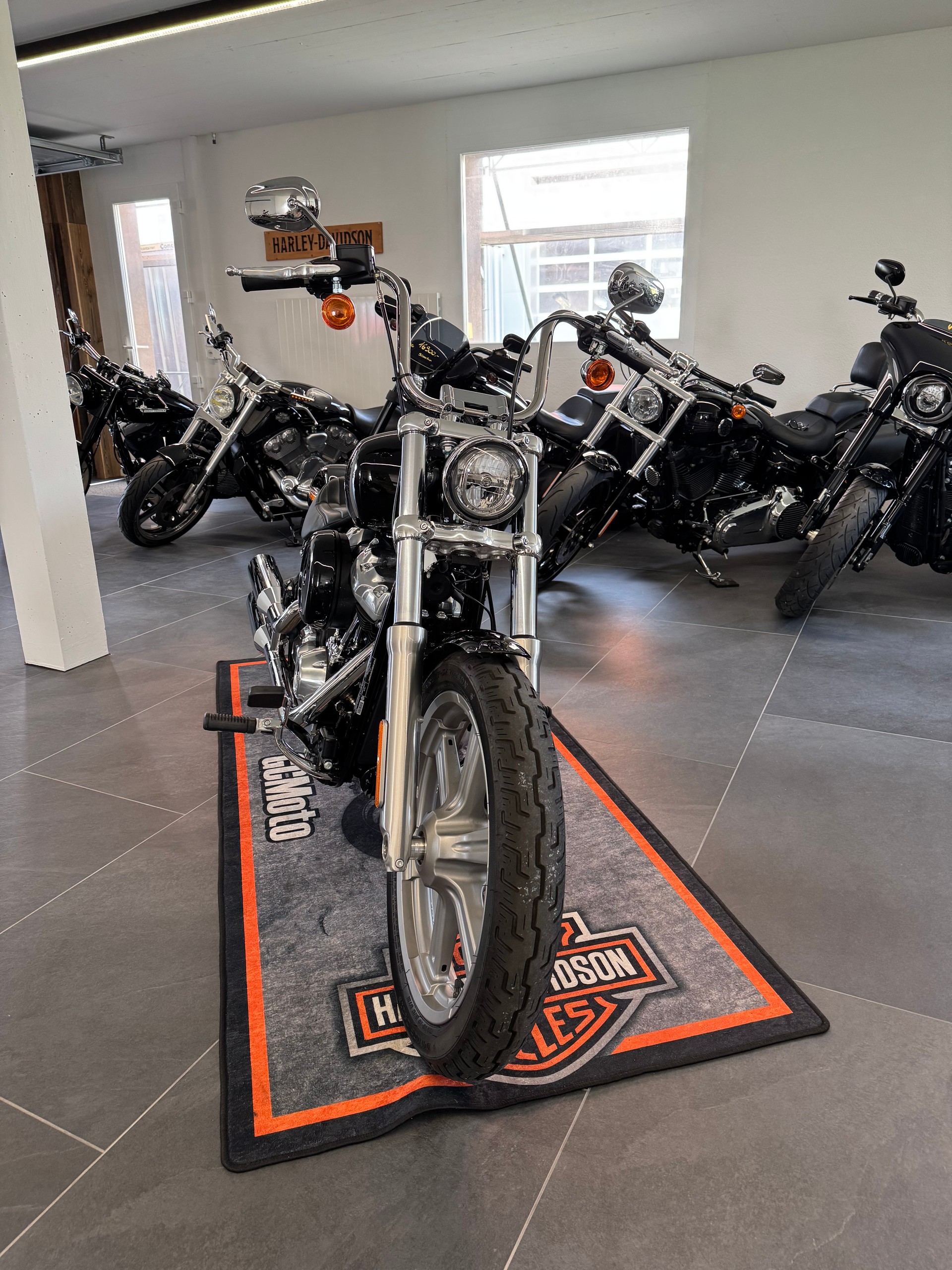 HARLEY-DAVIDSON FXST Softail Standard 107 ABS-image-2