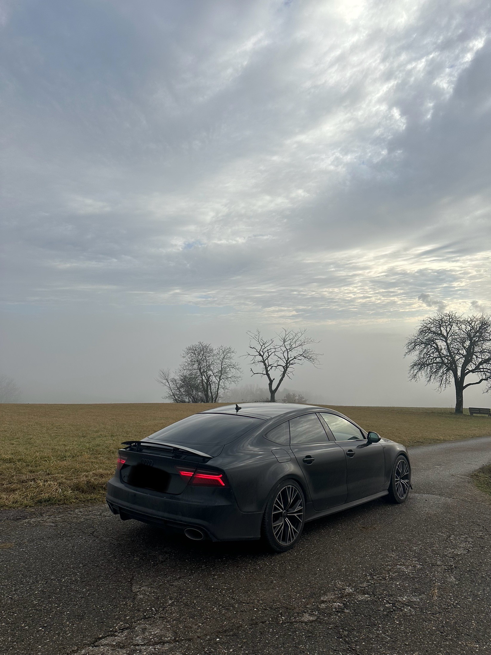 AUDI 3.0 V6 BITDI Competition quattro All black Edition-image-13