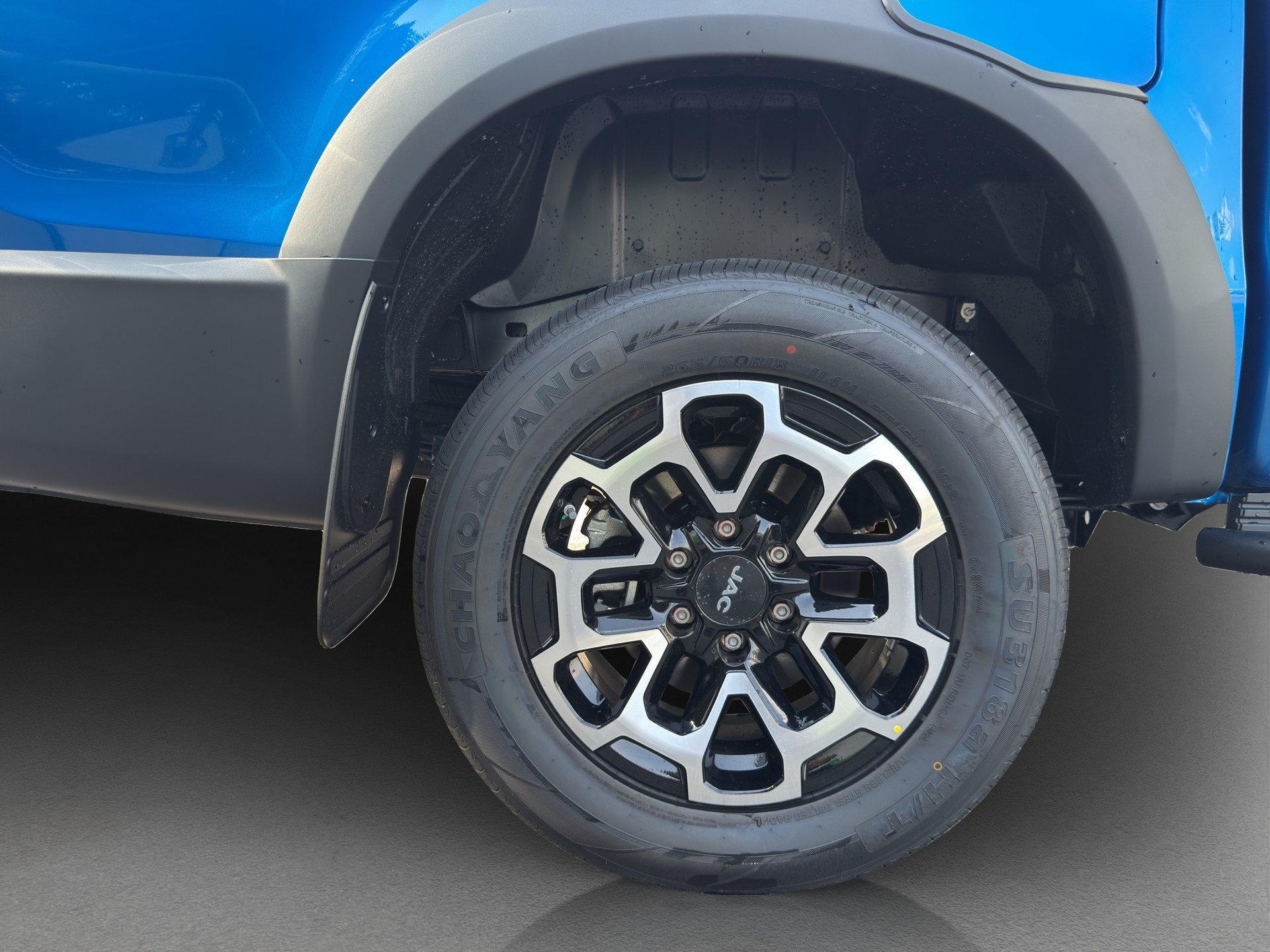 JAC T9EV 88kWh Advance 4x4-image-9
