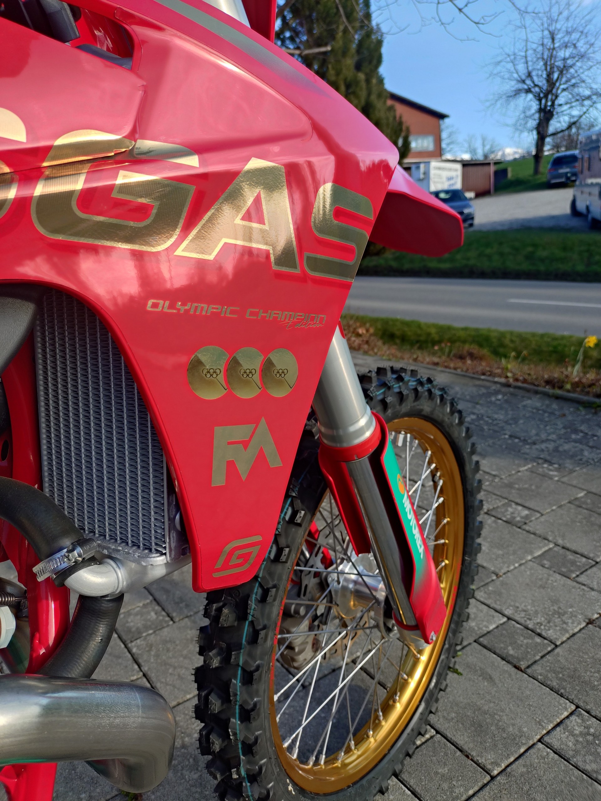 GASGAS MC 350F Champion Edition-image-5