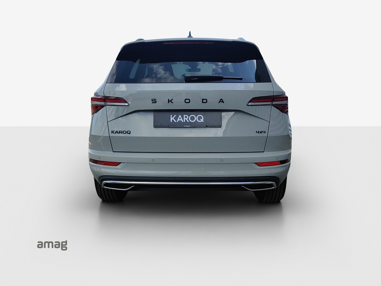 SKODA Karoq 2.0 TSI Dynamic Limited Edition 4x4 DSG-showroom-element-3