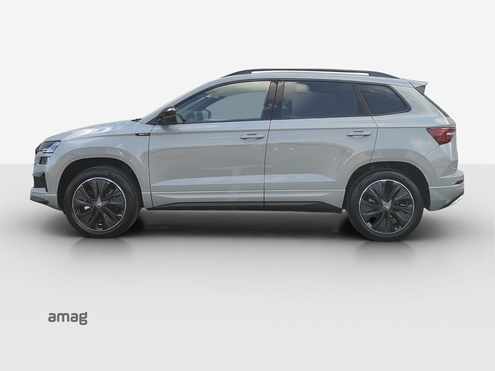 SKODA Karoq 2.0 TSI Dynamic Limited Edition 4x4 DSG-showroom-element-1