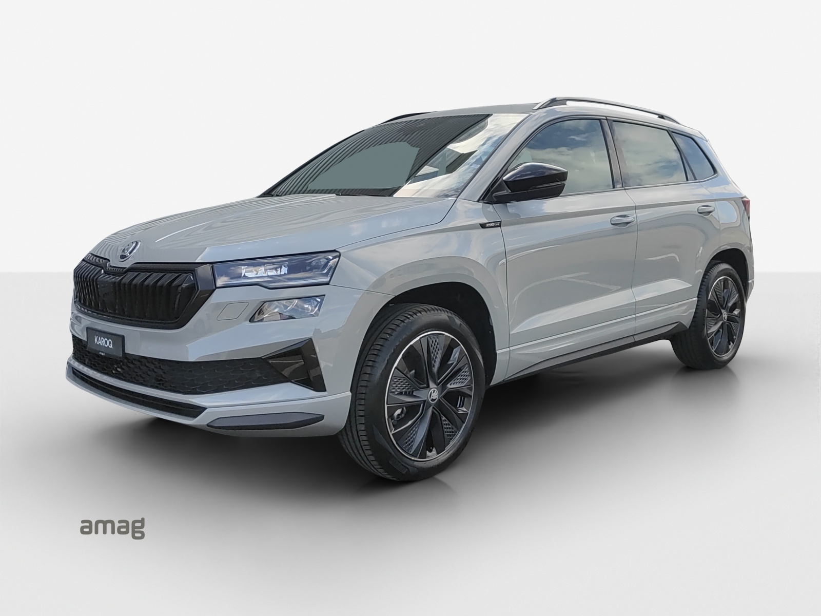 SKODA Karoq 2.0 TSI Dynamic Limited Edition 4x4 DSG