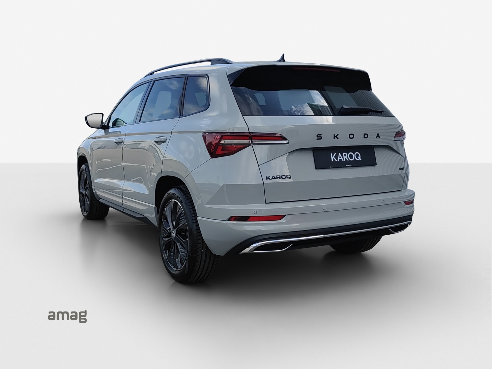 SKODA Karoq 2.0 TSI Dynamic Limited Edition 4x4 DSG-showroom-element-2