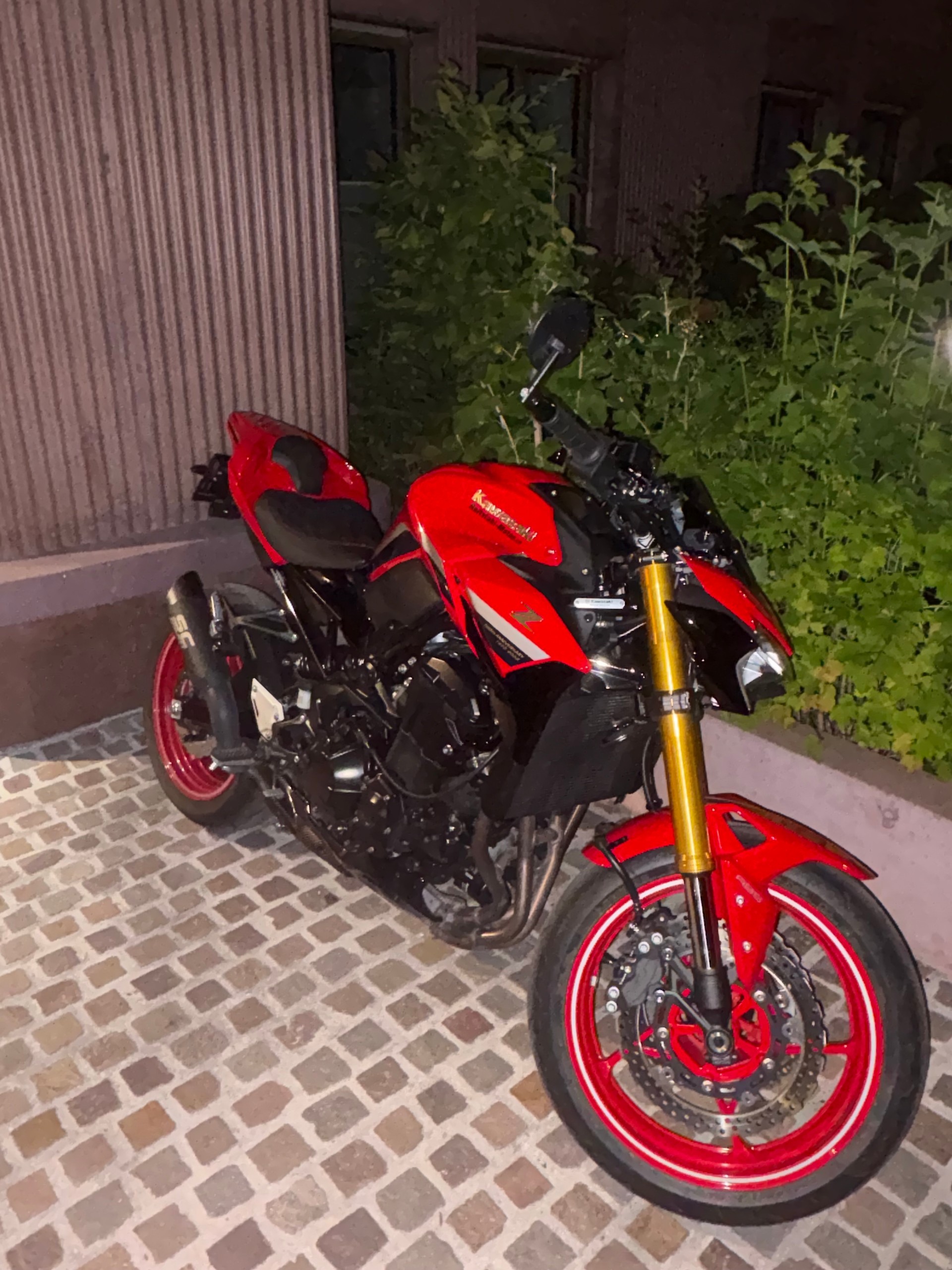 KAWASAKI Z 900 Anniversary Edition (35KW)-image-7