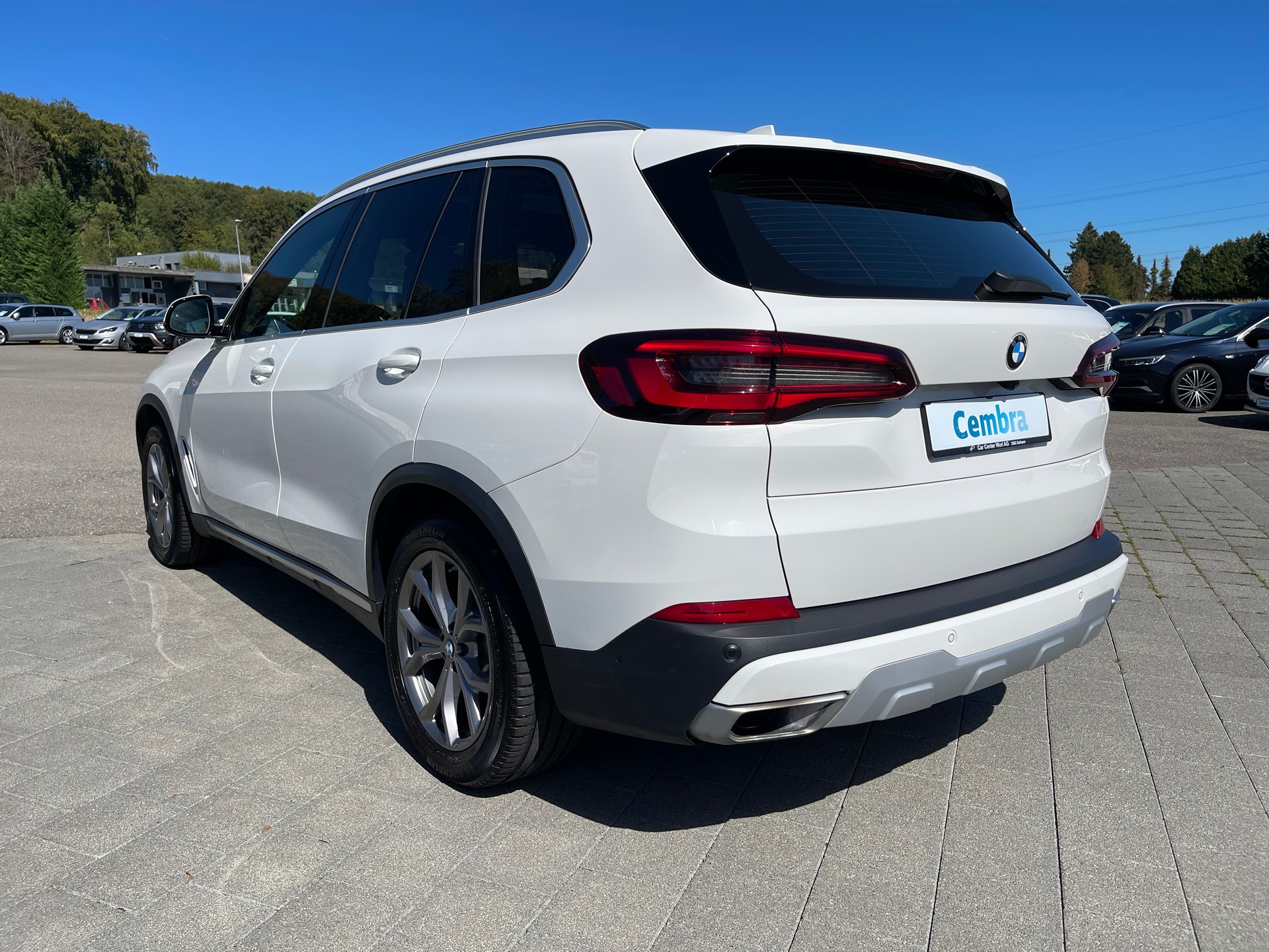 BMW X5 xDrive 48V 30d Steptronic-image-2