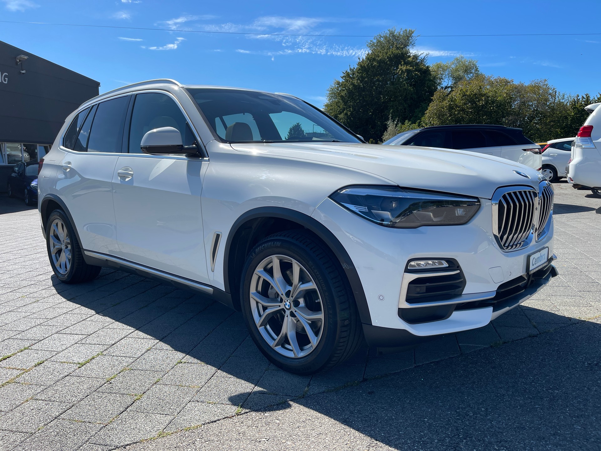 BMW X5 xDrive 48V 30d Steptronic-image-4