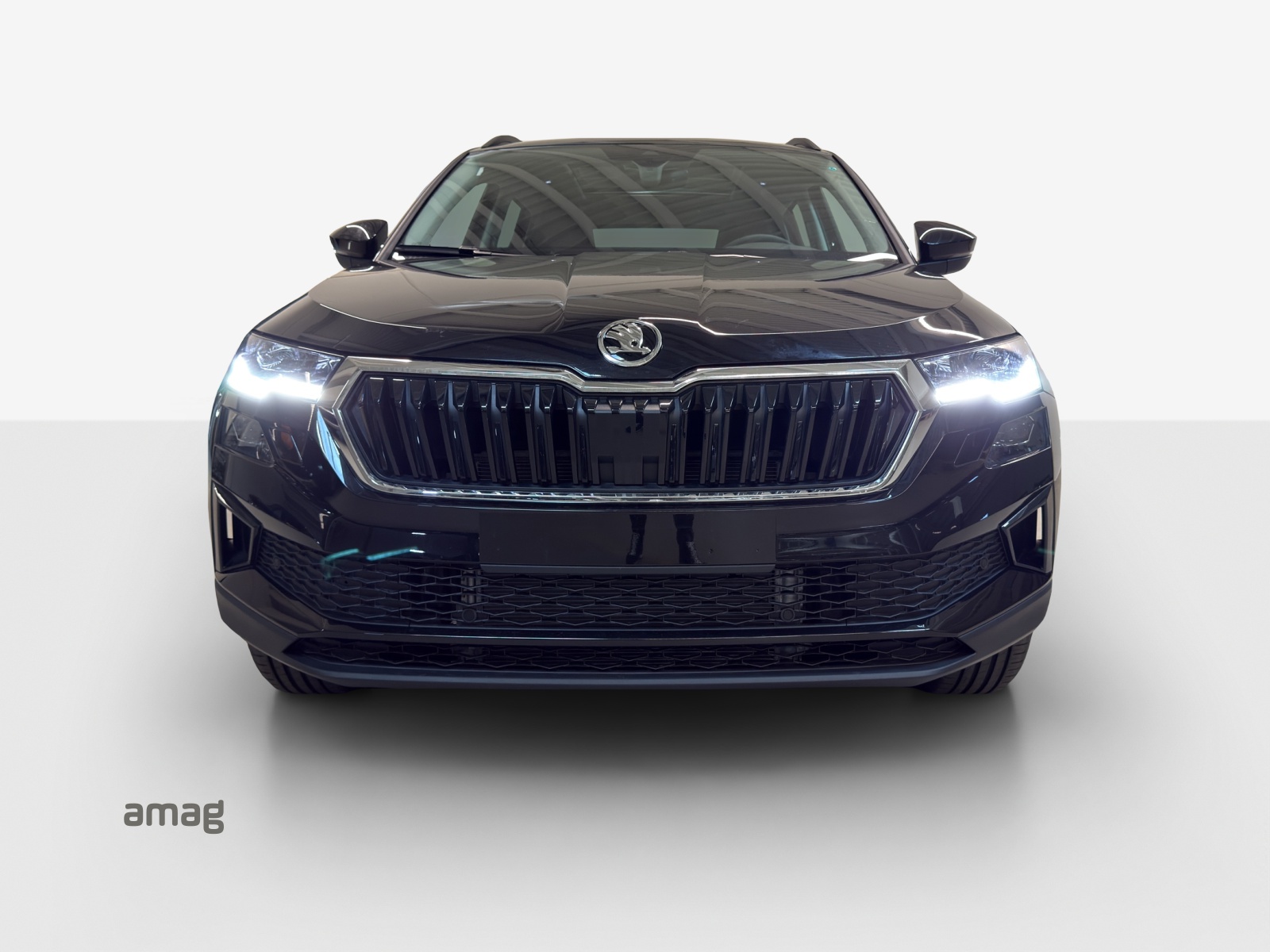 SKODA Karoq 1.5 TSI Dynamic DSG-image-13