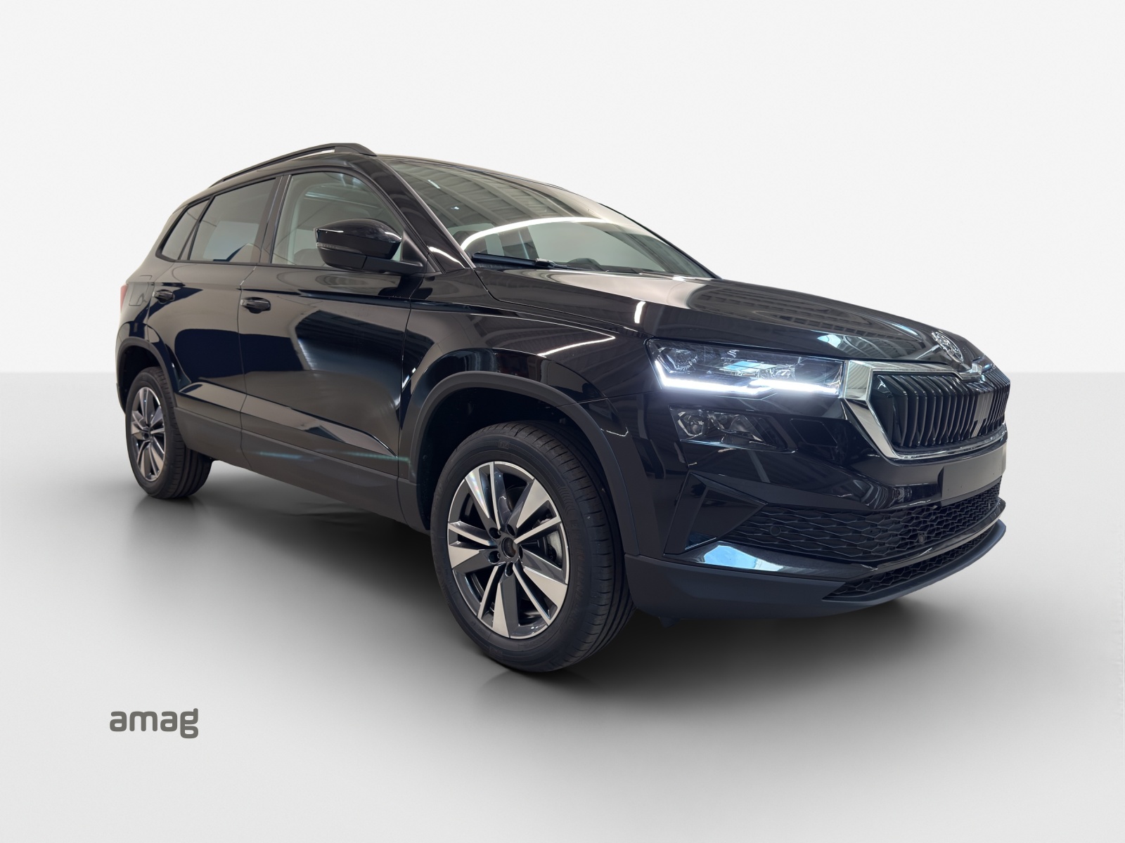 SKODA Karoq 1.5 TSI Dynamic DSG-showroom-element-1
