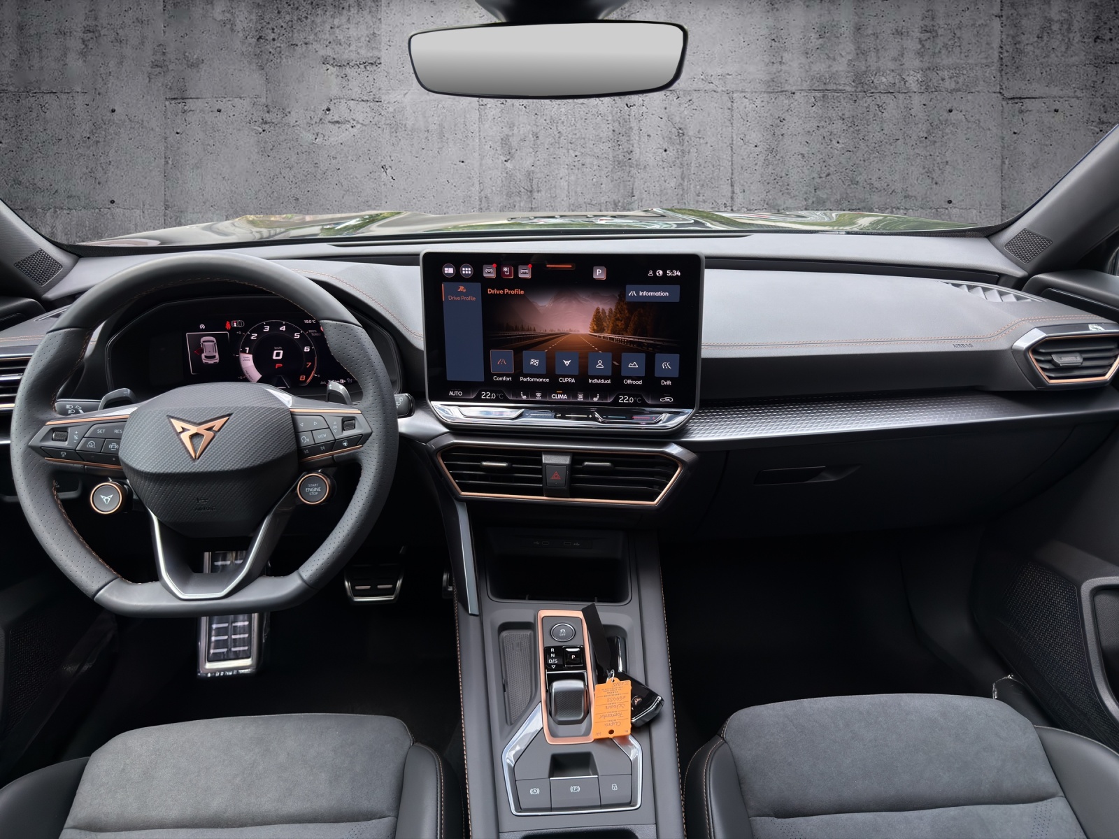 CUPRA Formentor 2.0TSI VZ 4Drive DSG *5 Jahre Garantie*-image-8