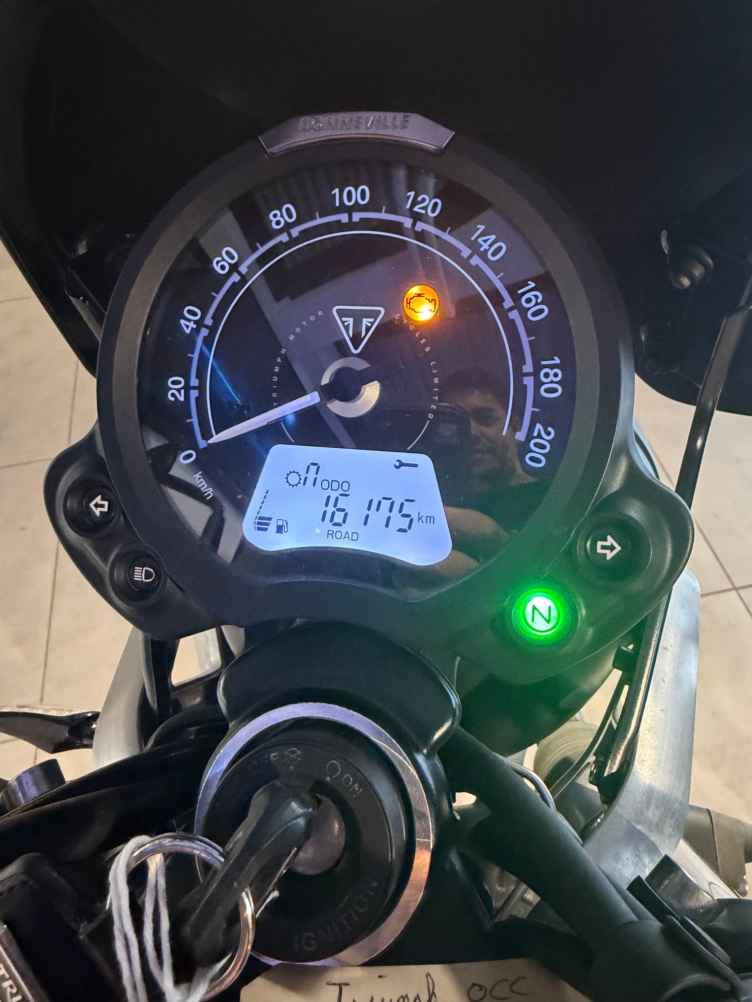 TRIUMPH Street Twin 900 Gold Line-image-3