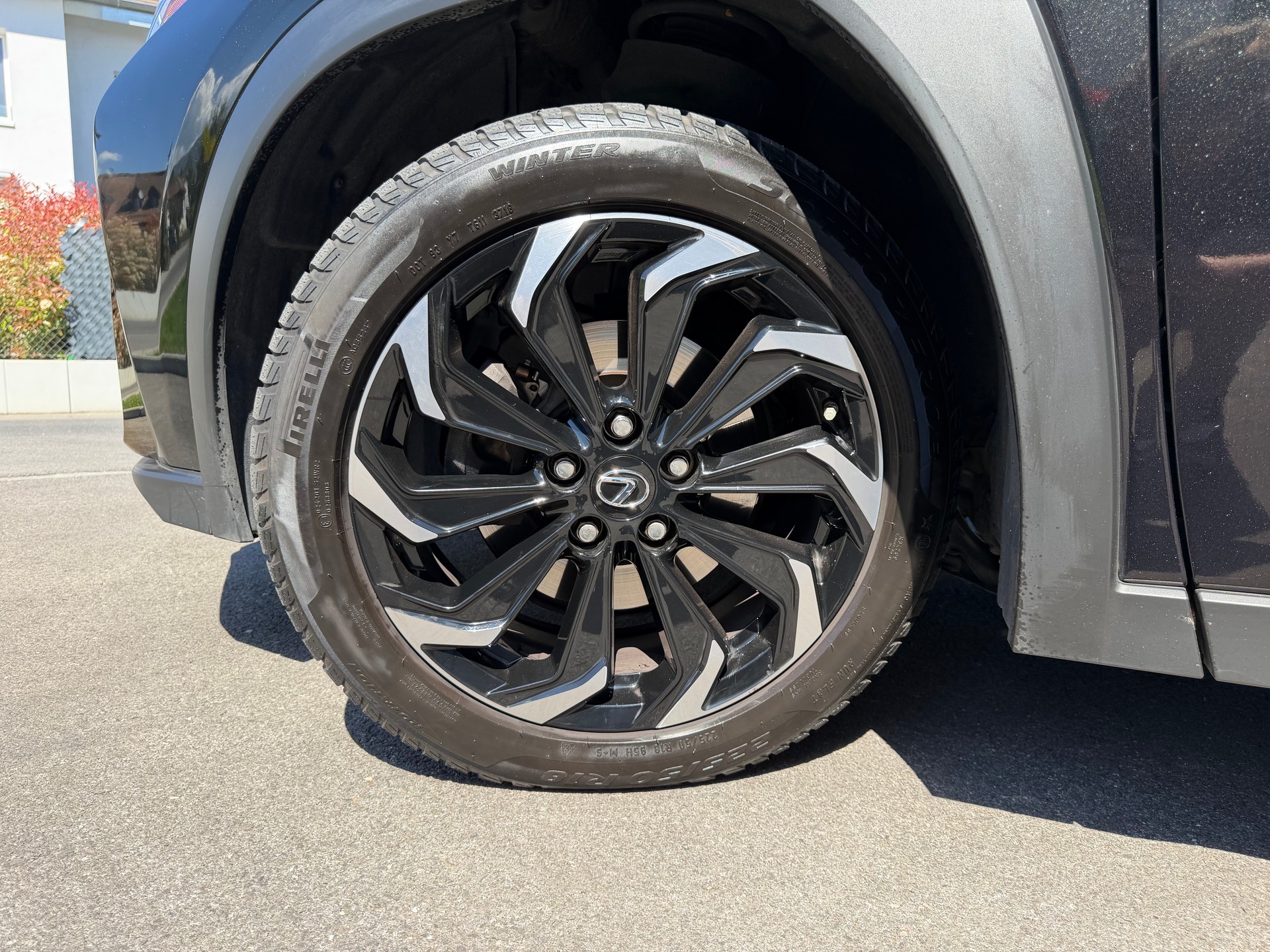 LEXUS UX 250h F Sport AWD Automatic-image-10