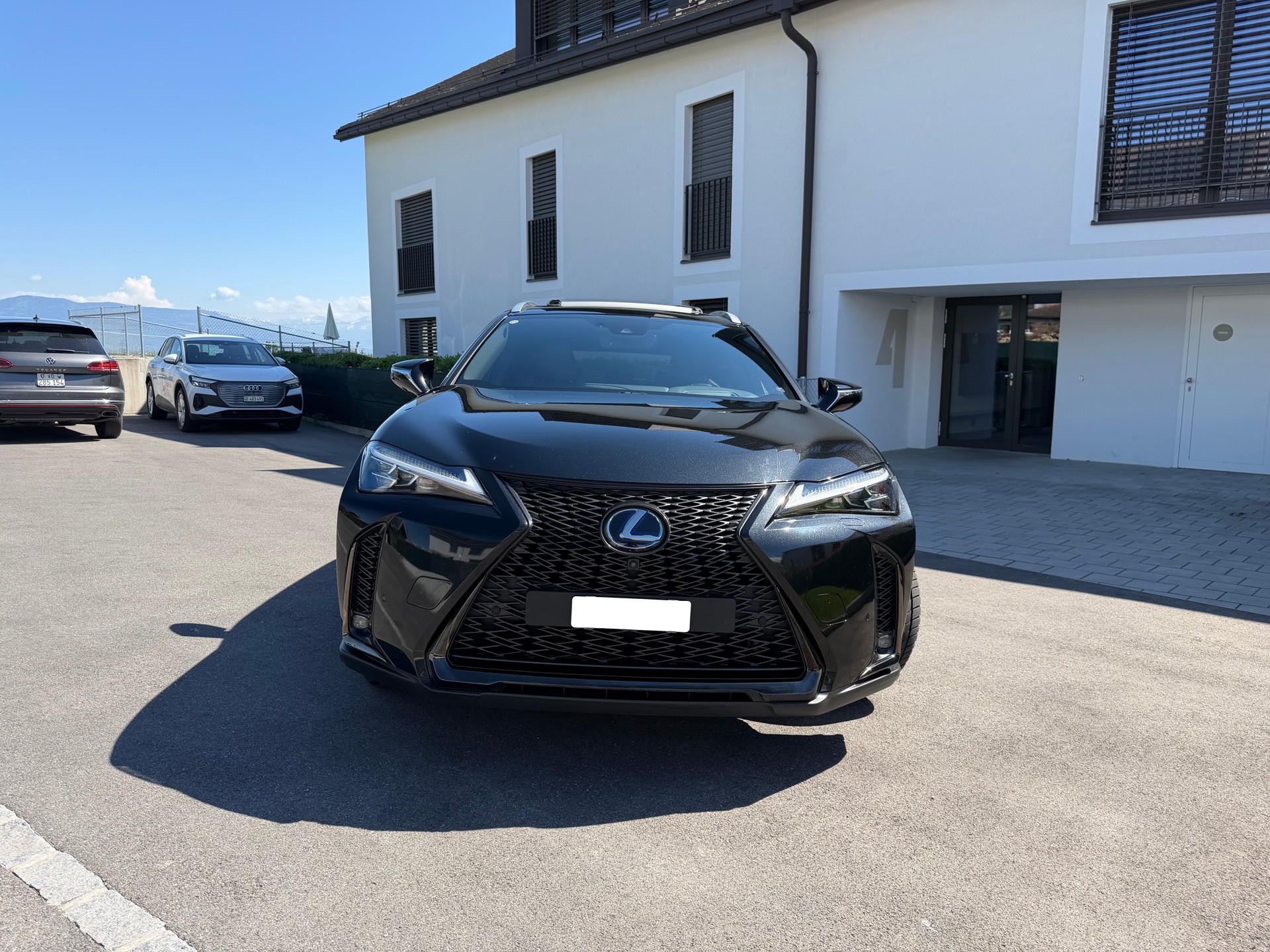 LEXUS UX 250h F Sport AWD Automatic-image-3