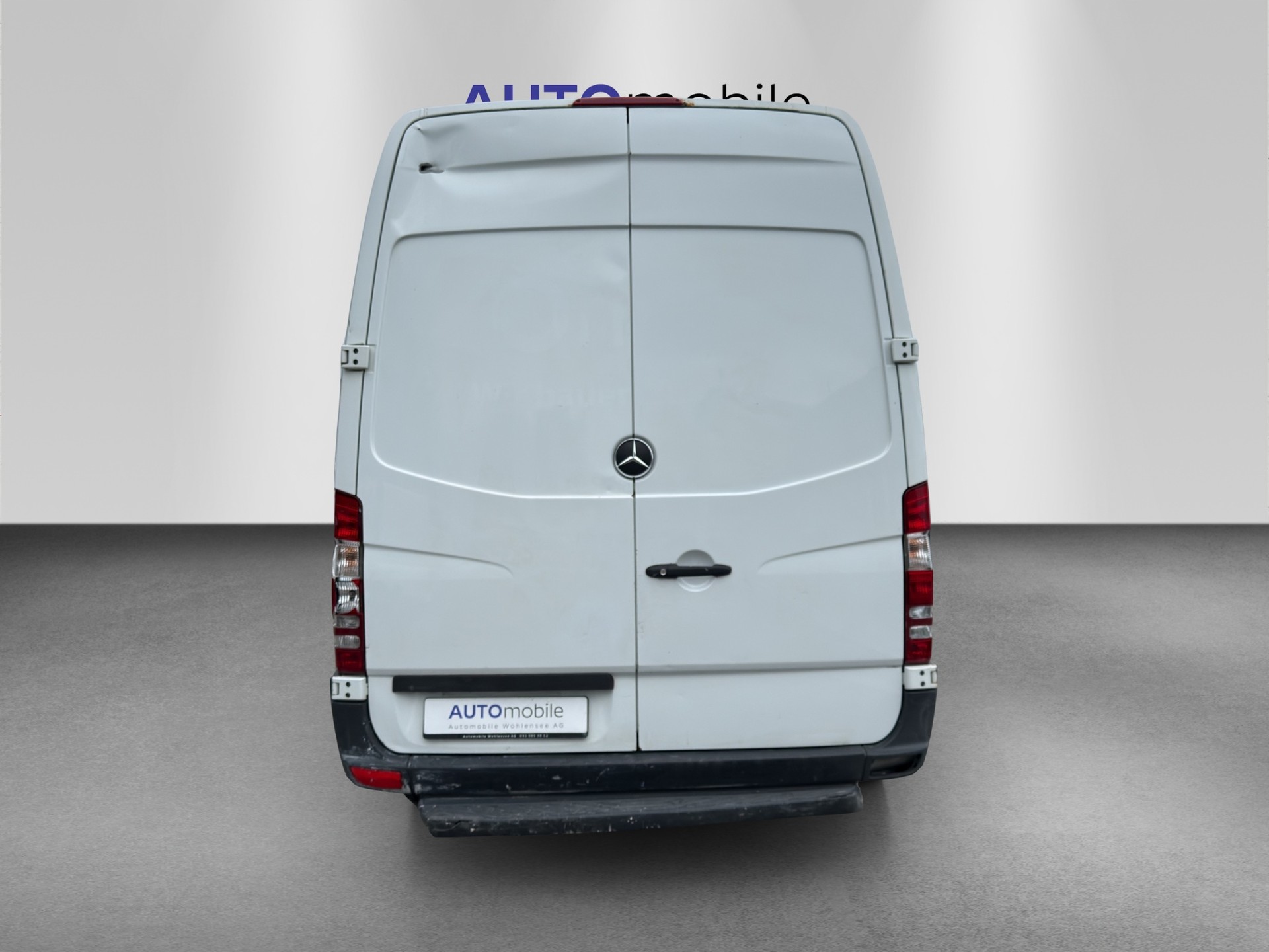 MERCEDES-BENZ Sprinter 313 CDI Extralang-image-5