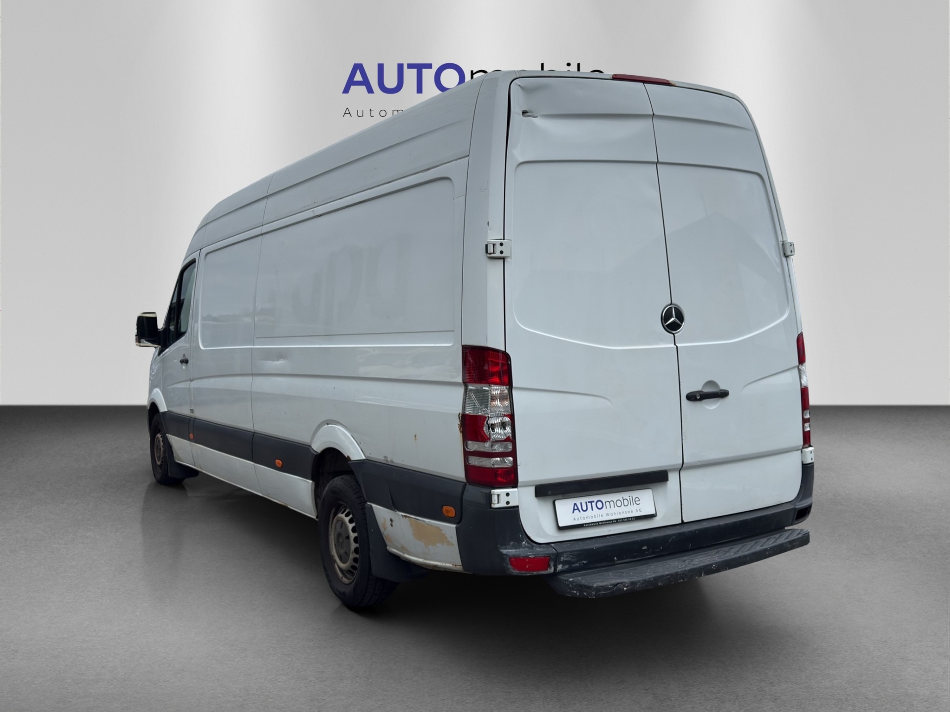 MERCEDES-BENZ Sprinter 313 CDI Extralang-image-6