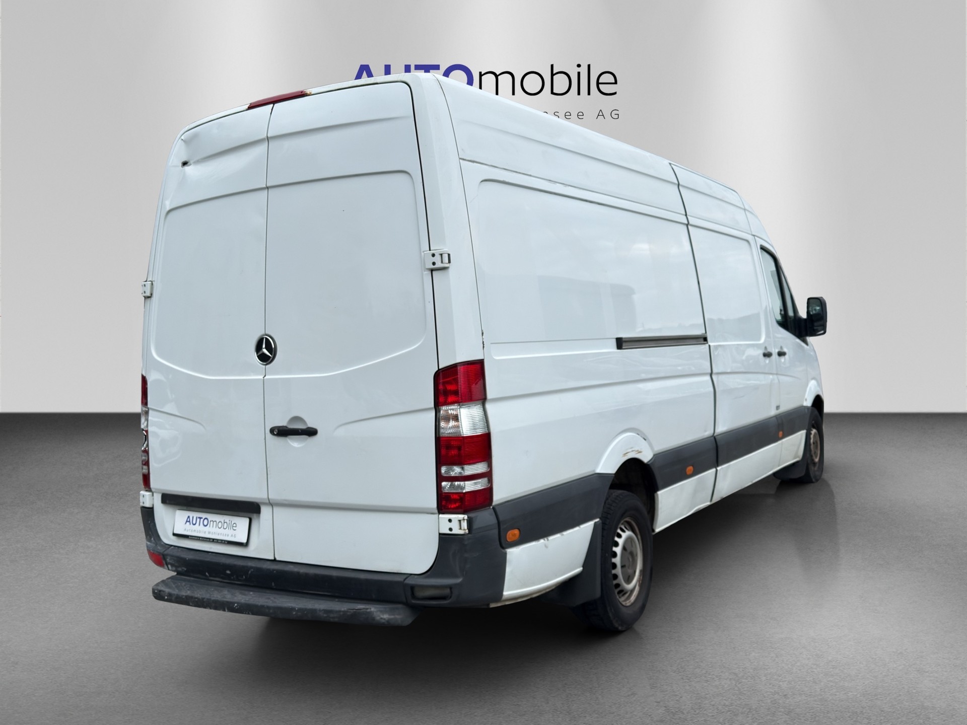 MERCEDES-BENZ Sprinter 313 CDI Extralang-image-4