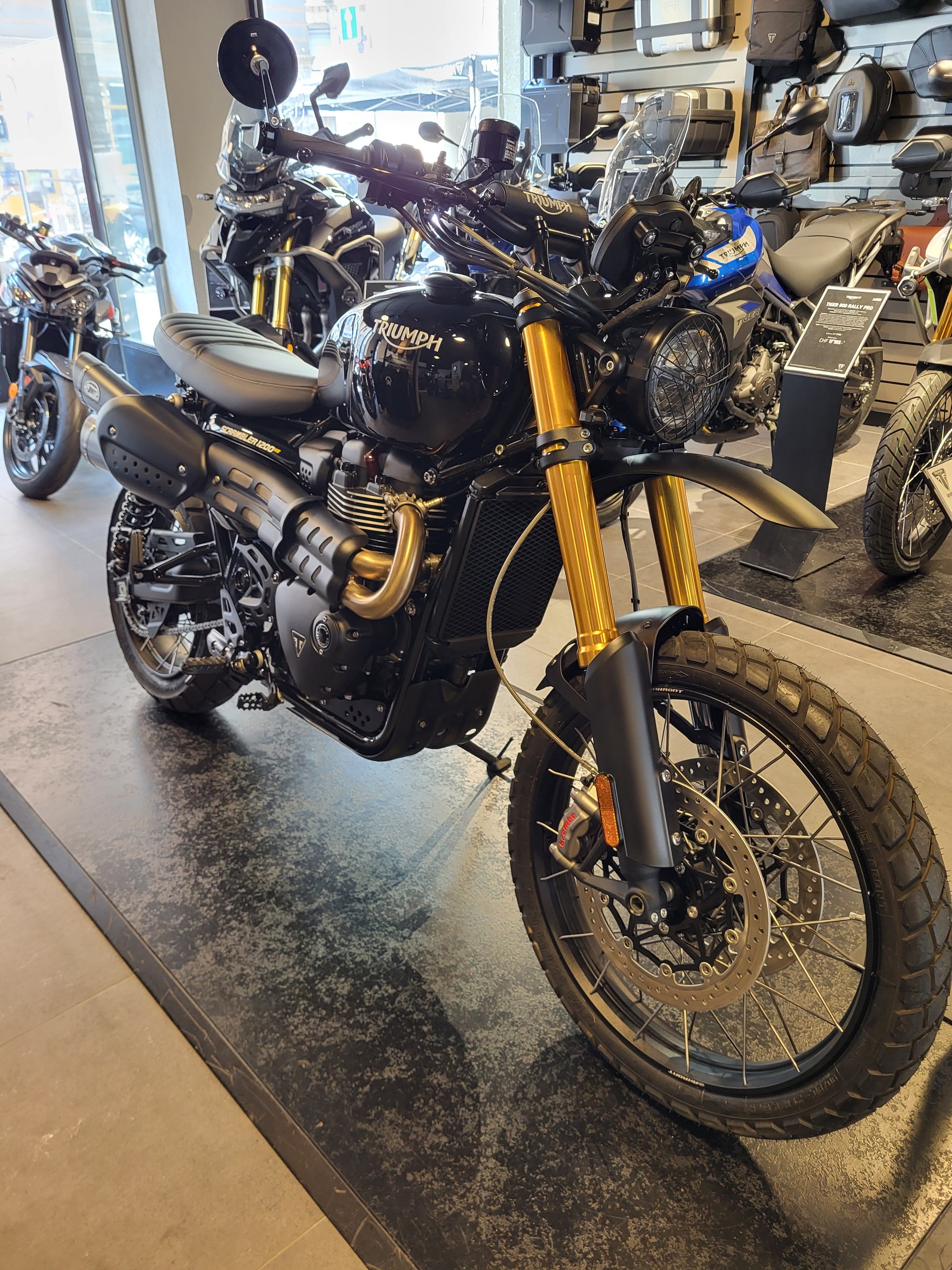 TRIUMPH Scrambler 1200 XE-image-2