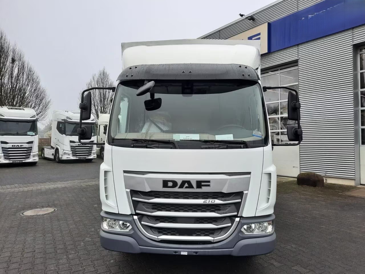 DAF XB 210 7,5t Saxas Pri. Pla. Spri. LBW, TZ 03/26-showroom-element-1