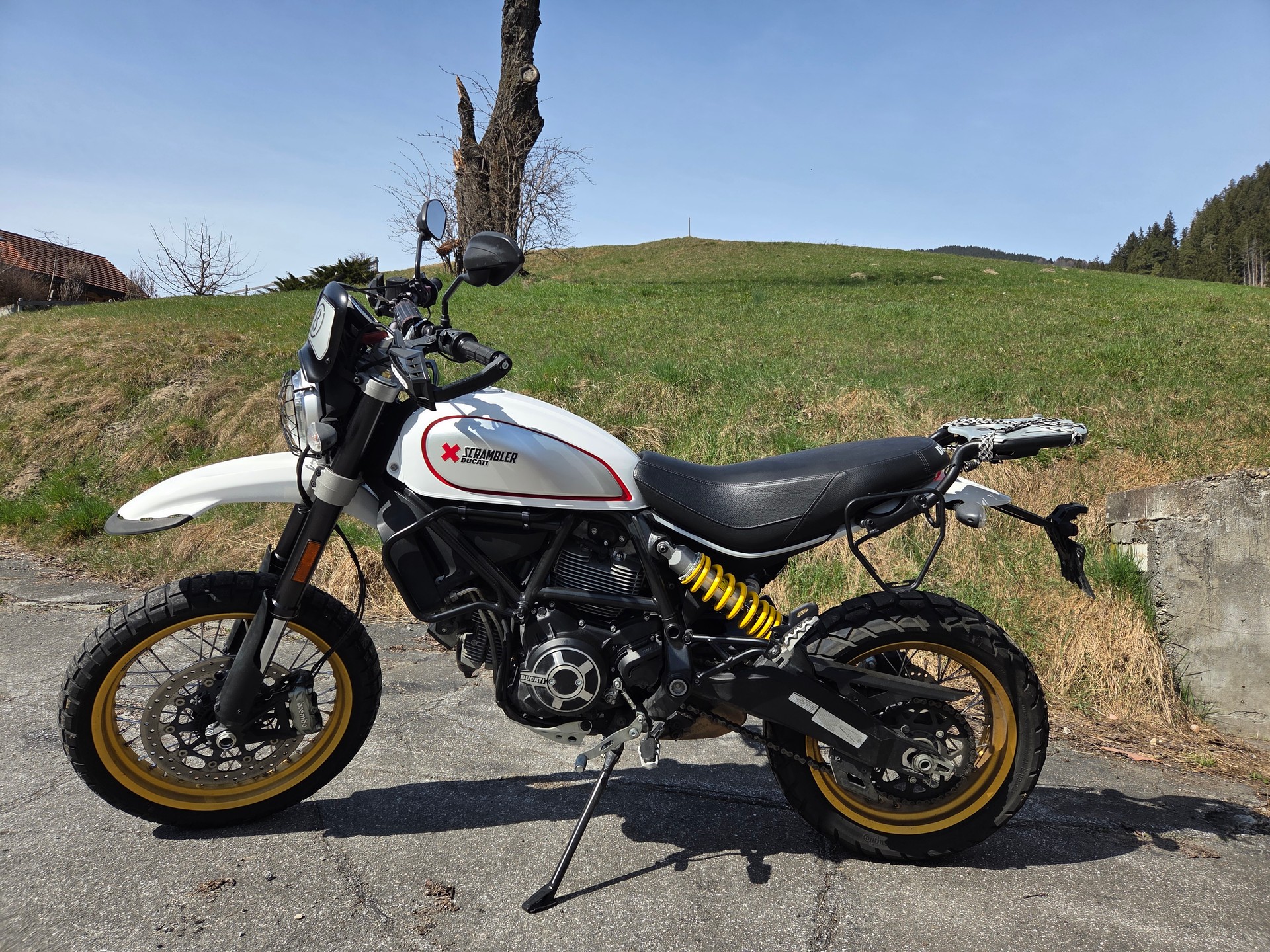 DUCATI Scrambler 800 Desert Sled