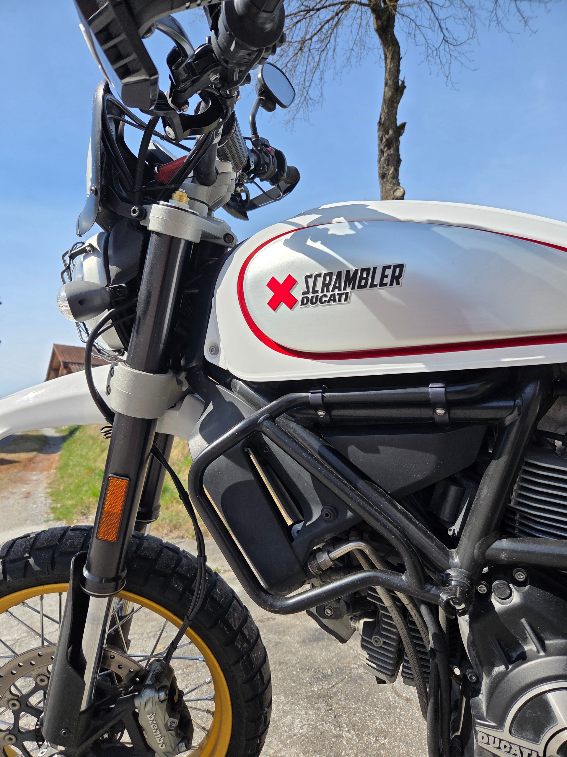 DUCATI Scrambler 800 Desert Sled-image-3
