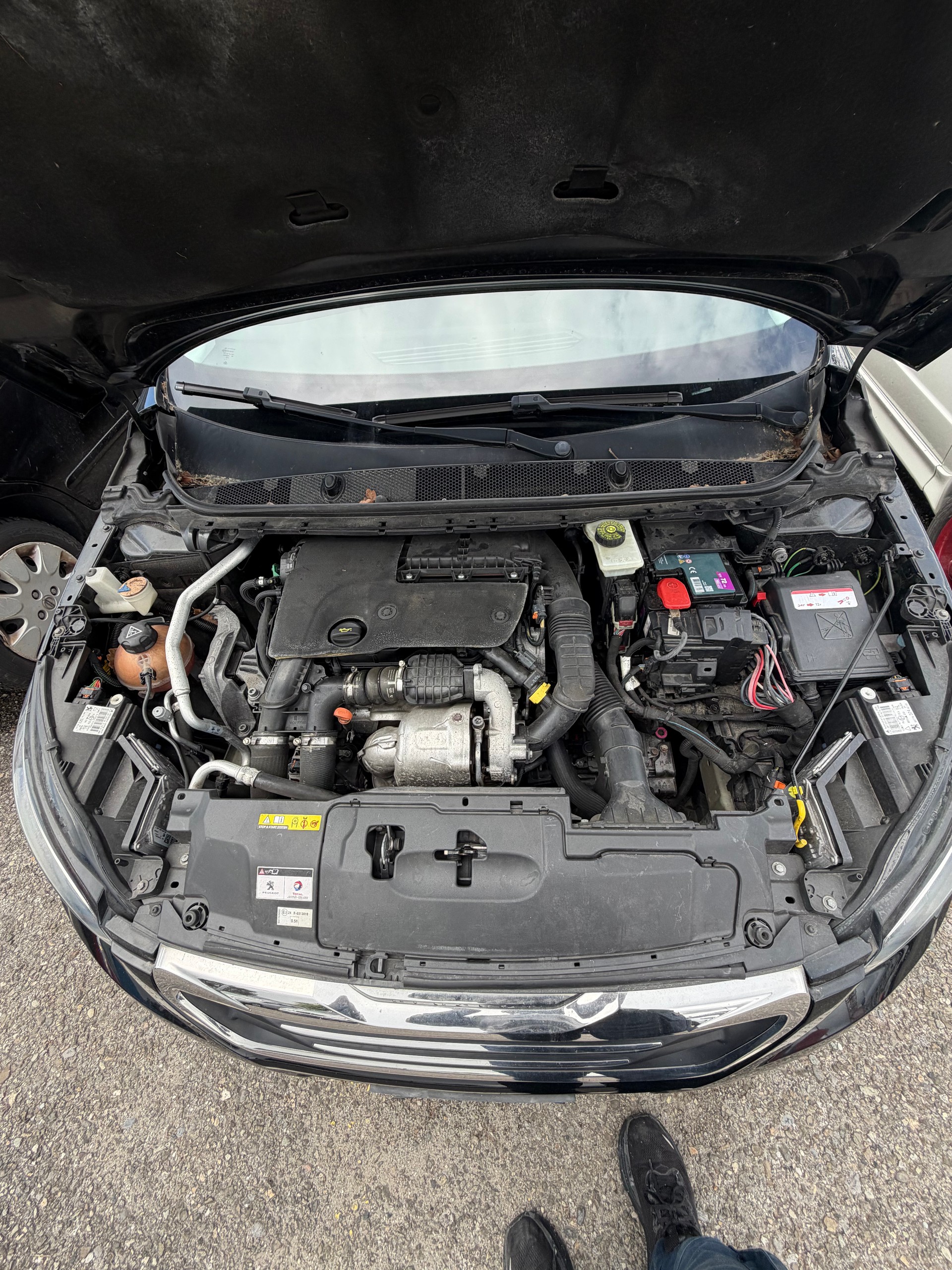PEUGEOT 308 SW 1.6 BlueHDI Allure Automatic-image-12