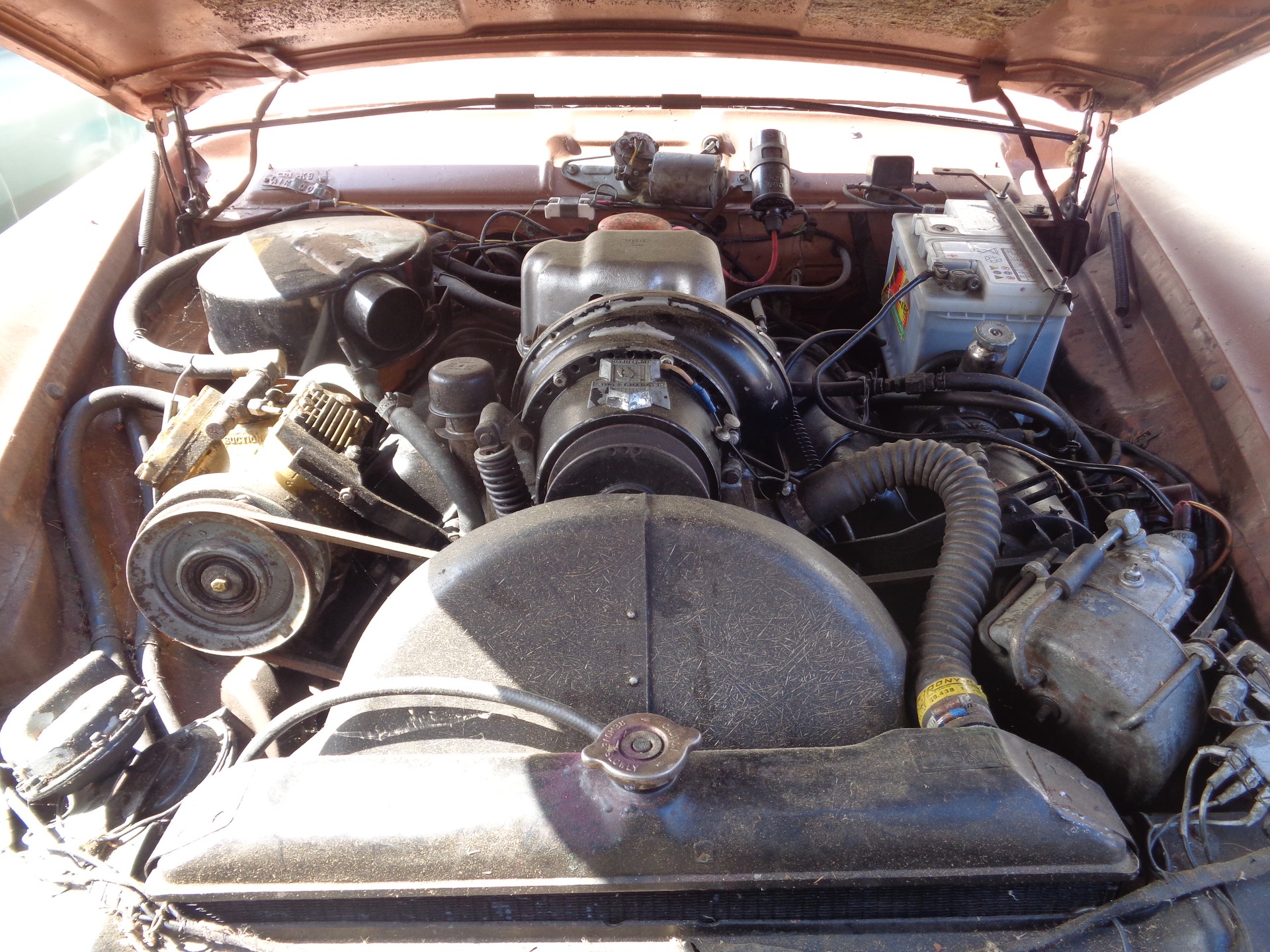 PACKARD hawk-image-9