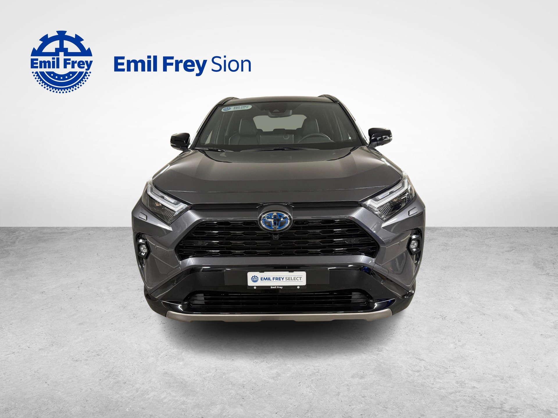 TOYOTA RAV4 2.5 HEV Style-image-7