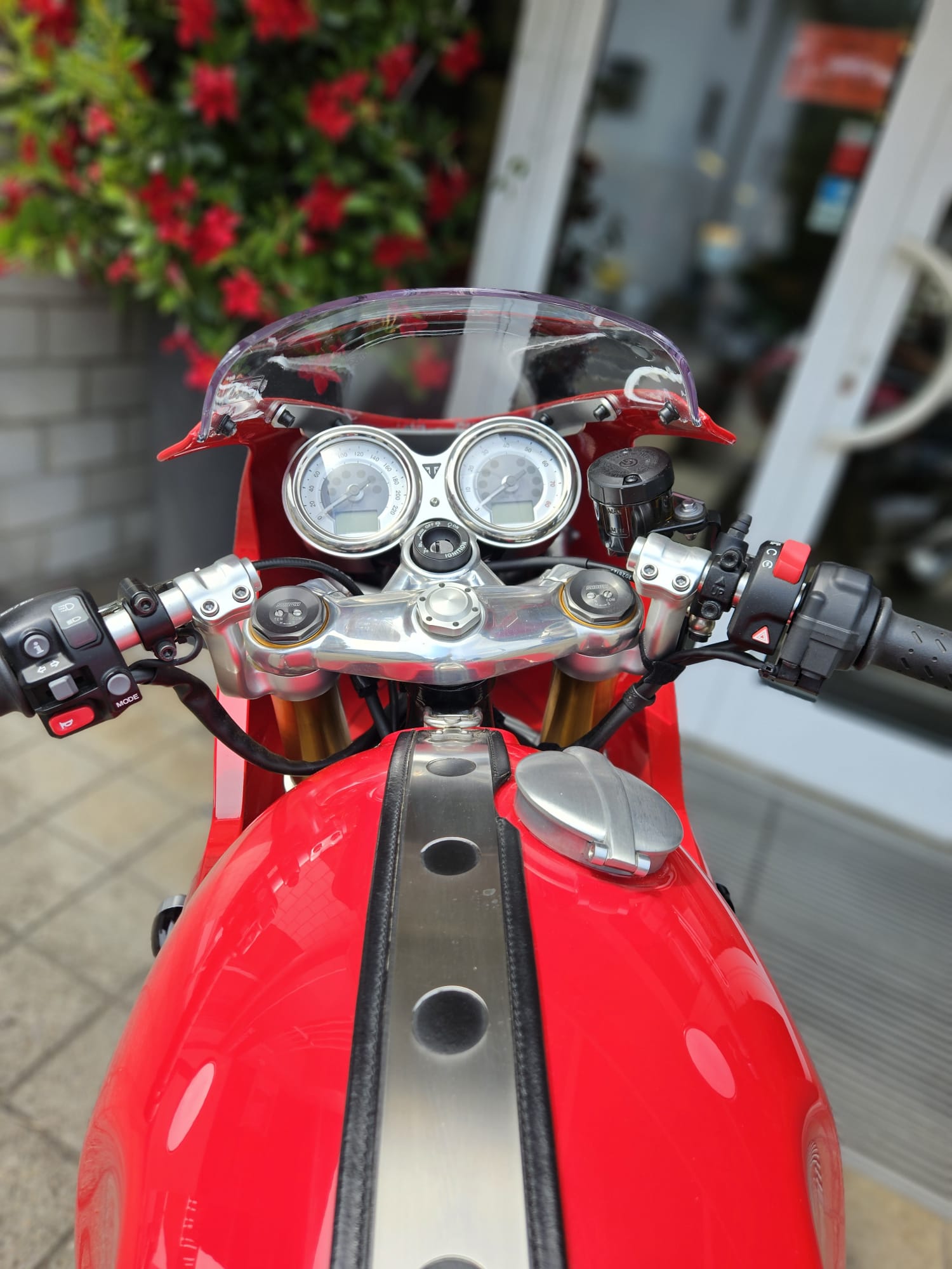 TRIUMPH Thruxton R 1200 i ABS-image-8
