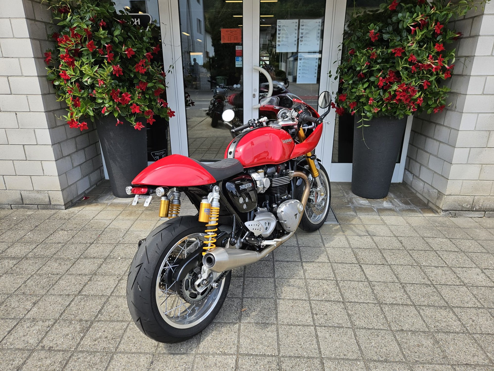 TRIUMPH Thruxton R 1200 i ABS-image-3