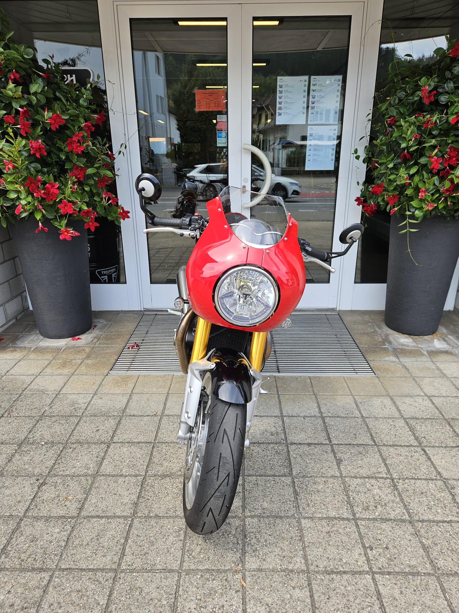 TRIUMPH Thruxton R 1200 i ABS-image-5