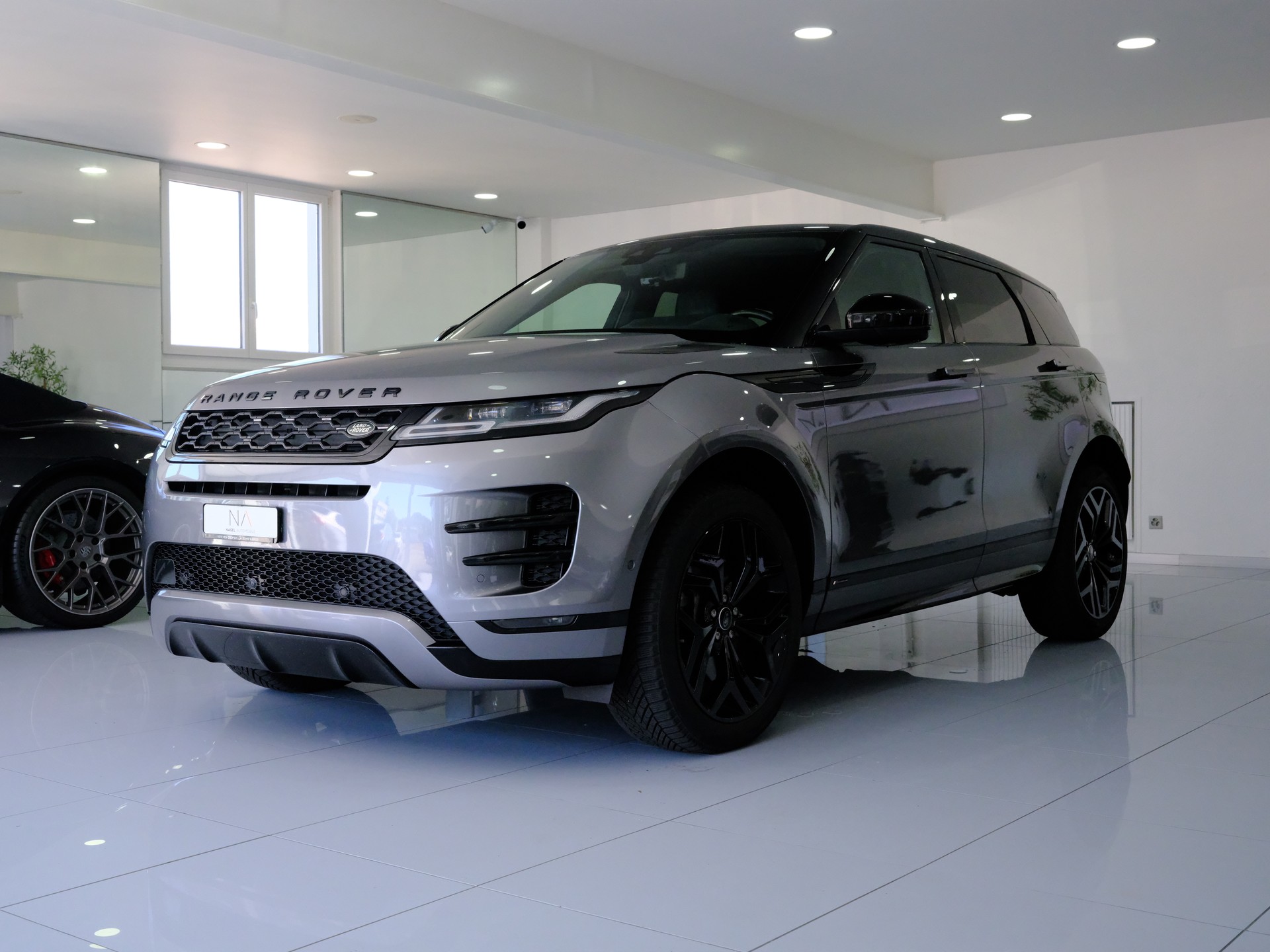 LAND ROVER Range Rover Evoque R-Dynamic P 250 SE AT9-image-6