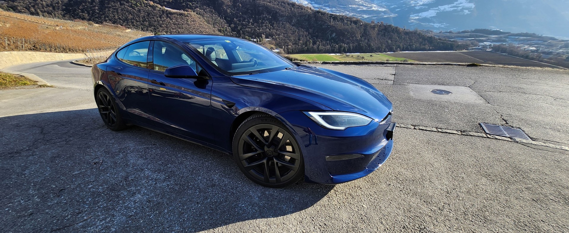 TESLA Model S 100 kWh Plaid-image-1