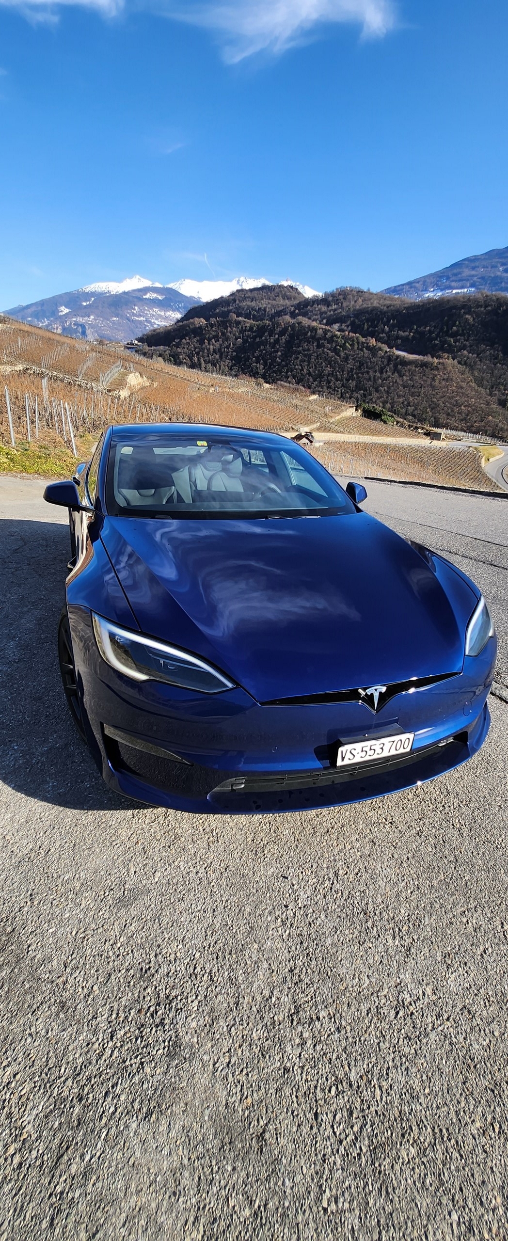 TESLA Model S 100 kWh Plaid-image-3
