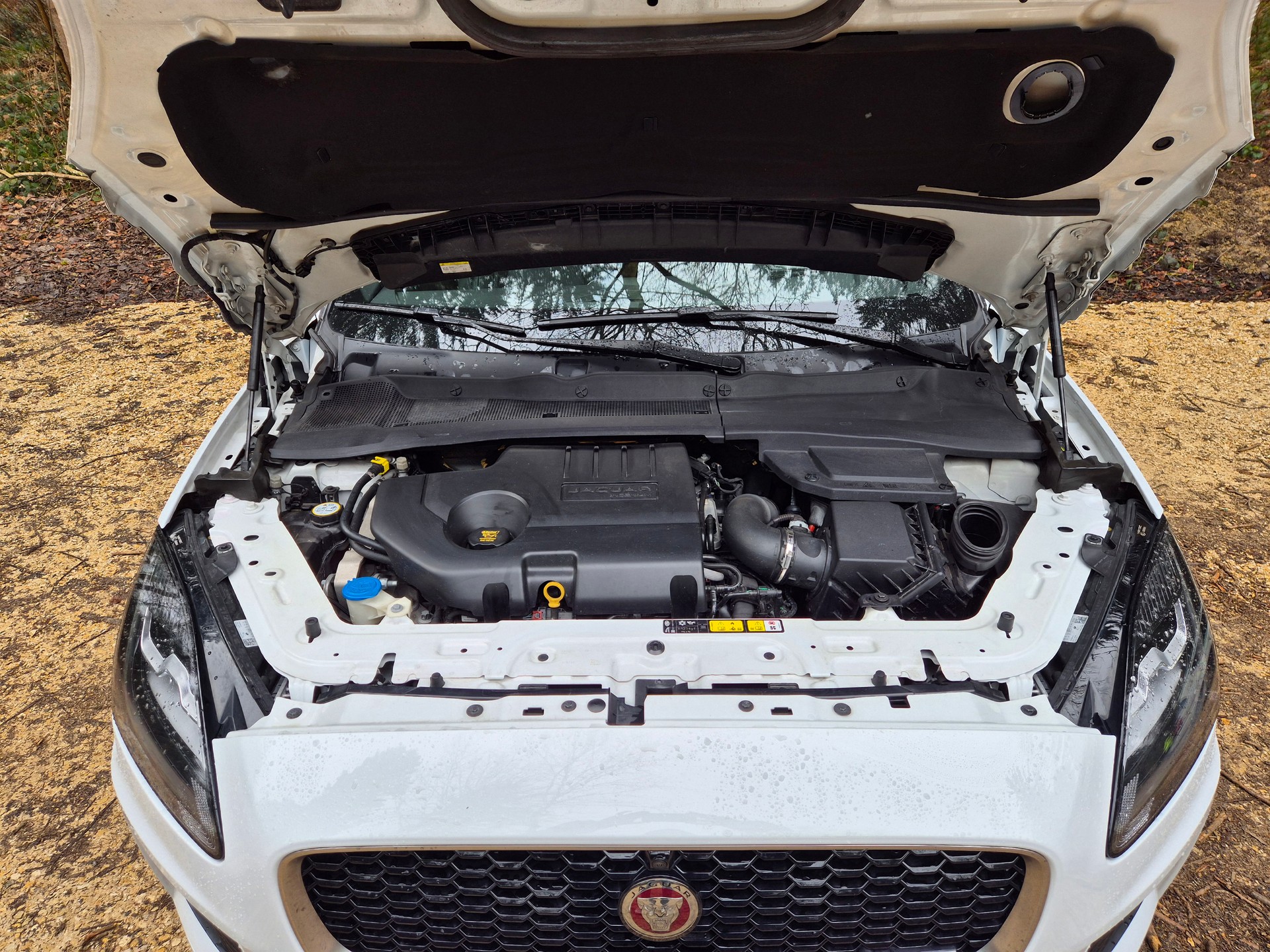 JAGUAR E-Pace D240 AWD | Premium SUV | Navi | LED | Leder | CH-Fahrzeug-image-7